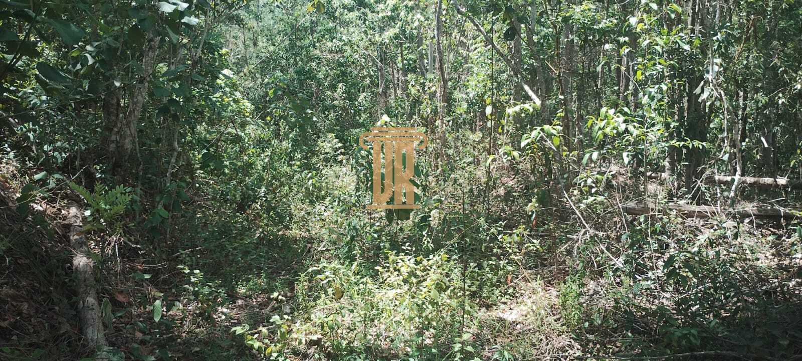 S&iacute;tio &agrave; Venda de 4 Hectares em Monteiro Lobato- SP  MONTEIRO LOBATO - 