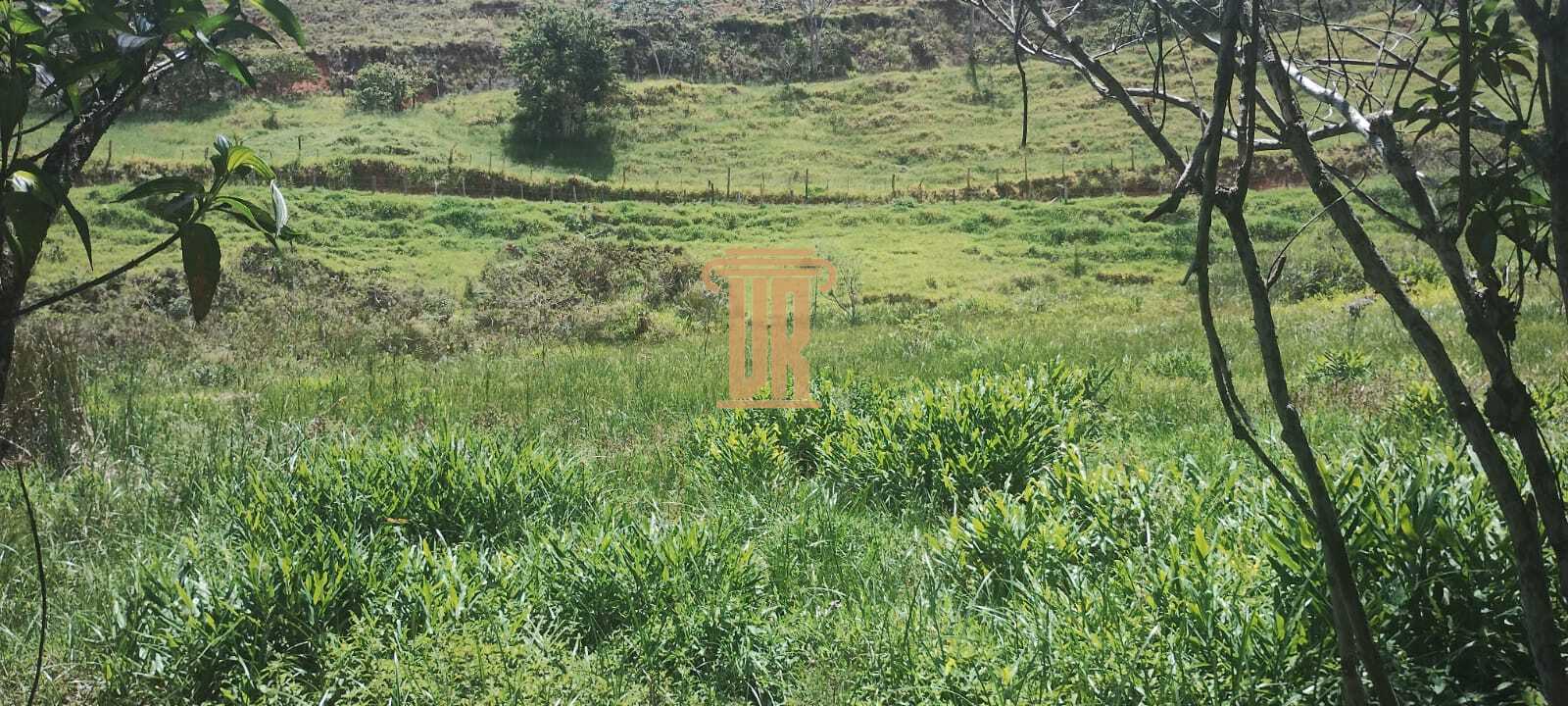 S&iacute;tio &agrave; Venda de 4 Hectares em Monteiro Lobato- SP  MONTEIRO LOBATO - 