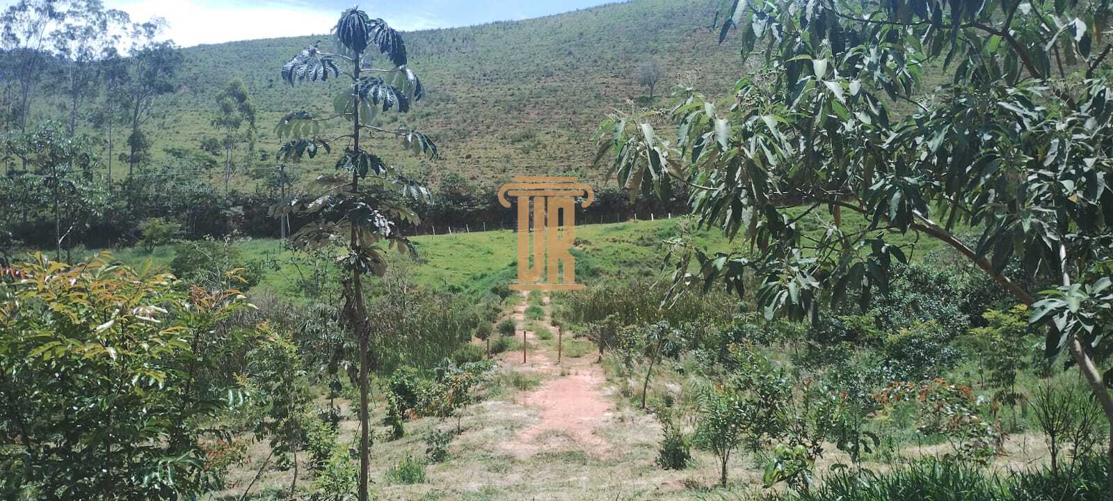 S&iacute;tio &agrave; Venda de 4 Hectares em Monteiro Lobato- SP  MONTEIRO LOBATO - 