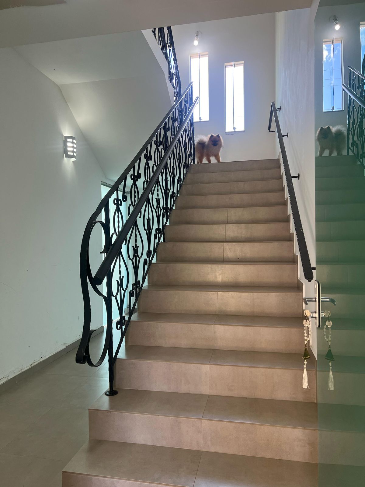 Casa e Sala comercial  Timbó - 