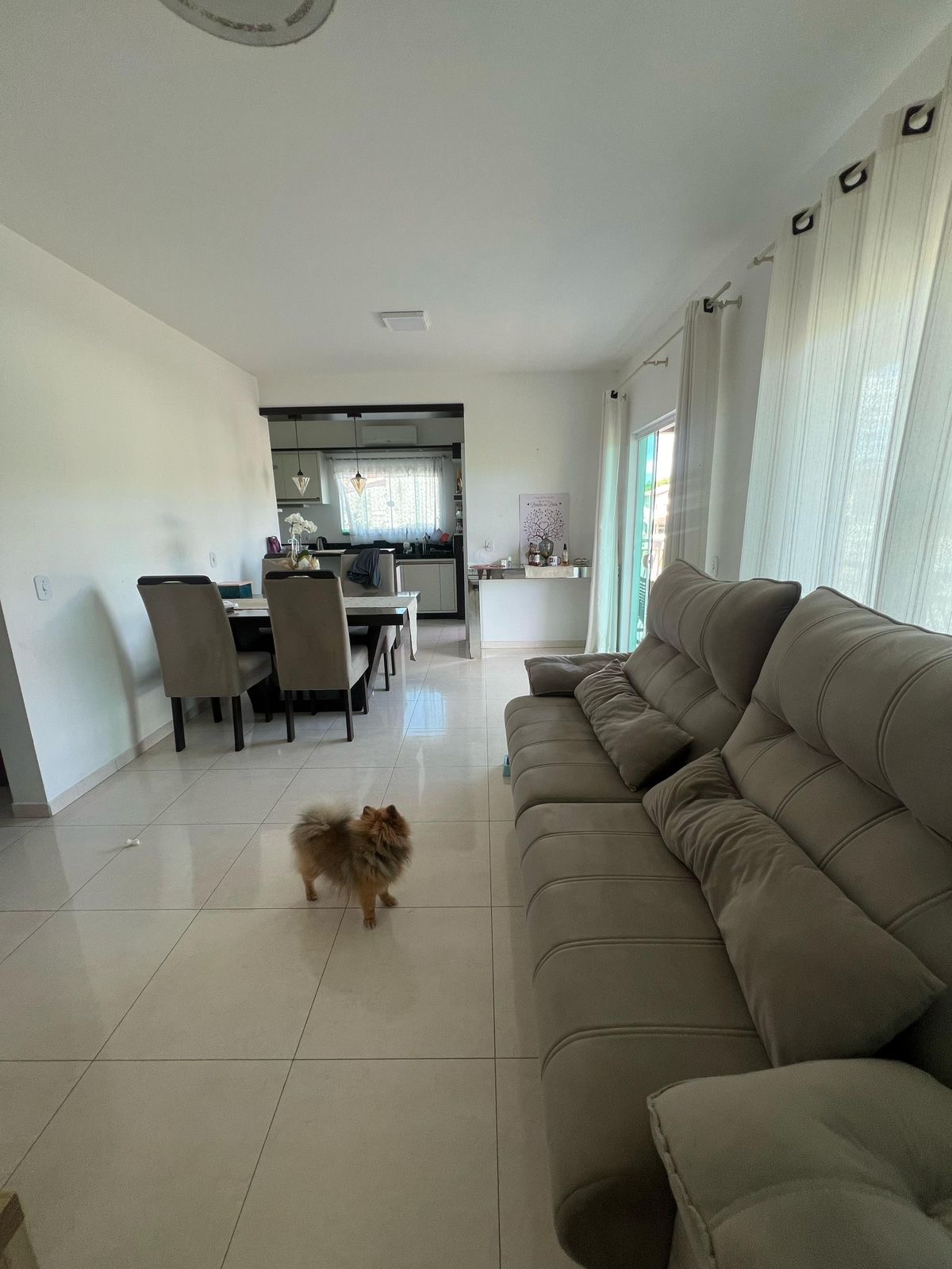 Casa e Sala comercial  Timbó - 