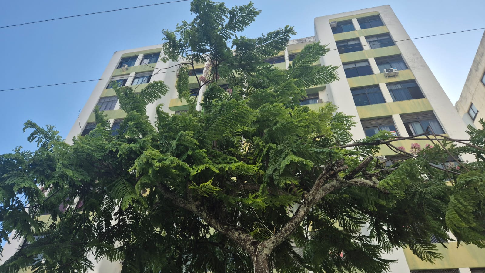 APARTAMENTO 3 QUARTOS SU&Iacute;TE DEPEND&Ecirc;NCIA 2 GARAGENS NASCENTE  &Agrave; VENDA NO JARDIM APIPEMA! Rua Nita Costa Salvador - 