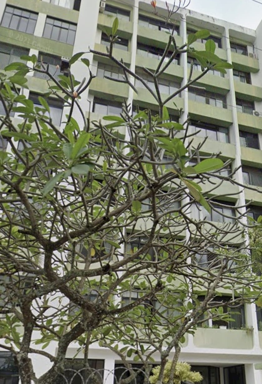 APARTAMENTO 3 QUARTOS SU&Iacute;TE DEPEND&Ecirc;NCIA 2 GARAGENS NASCENTE  &Agrave; VENDA NO JARDIM APIPEMA! Rua Nita Costa Salvador - 