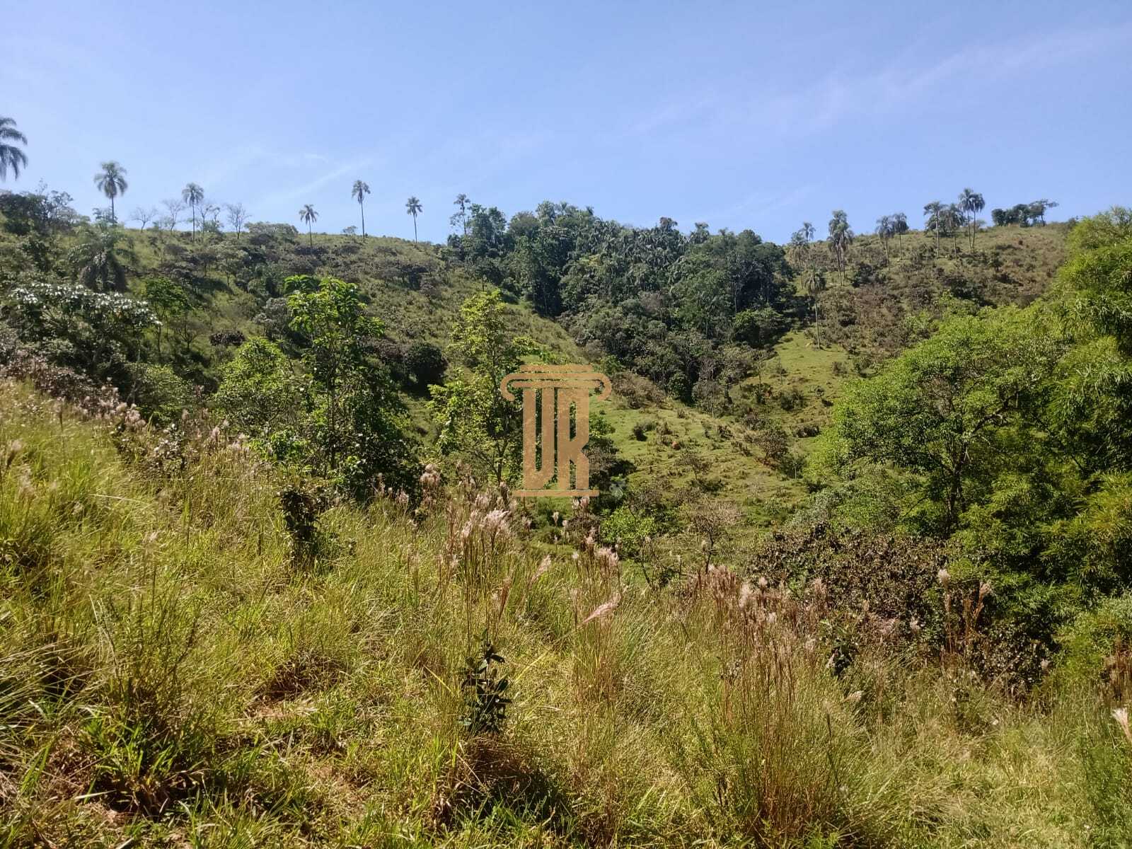 &Aacute;rea rural de 8,5 alqueires em S&atilde;o Jos&eacute; dos Campos- SP  São José dos Campos - 