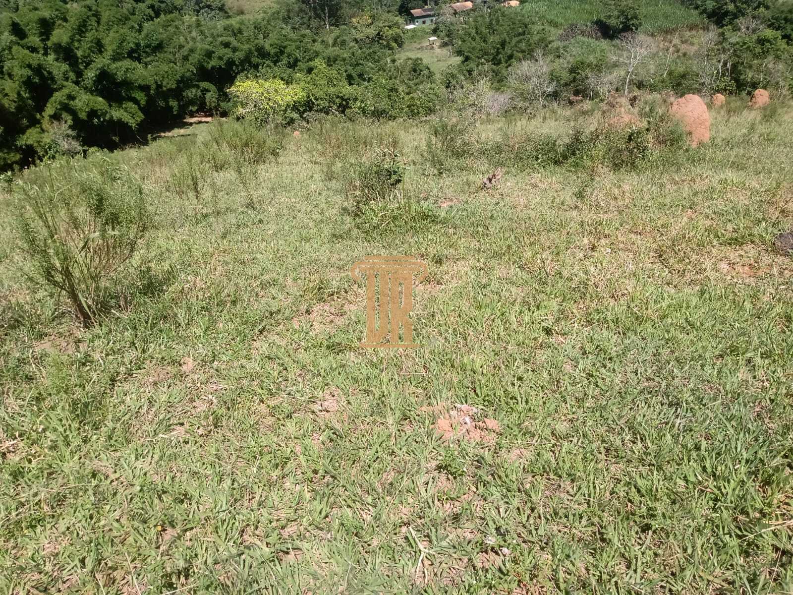 &Aacute;rea rural de 8,5 alqueires em S&atilde;o Jos&eacute; dos Campos- SP  São José dos Campos - 