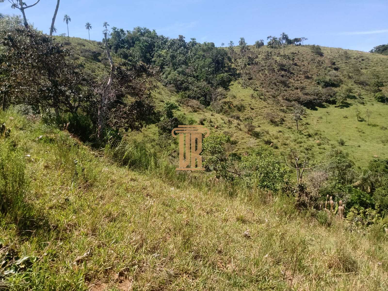 &Aacute;rea rural de 8,5 alqueires em S&atilde;o Jos&eacute; dos Campos- SP  São José dos Campos - 