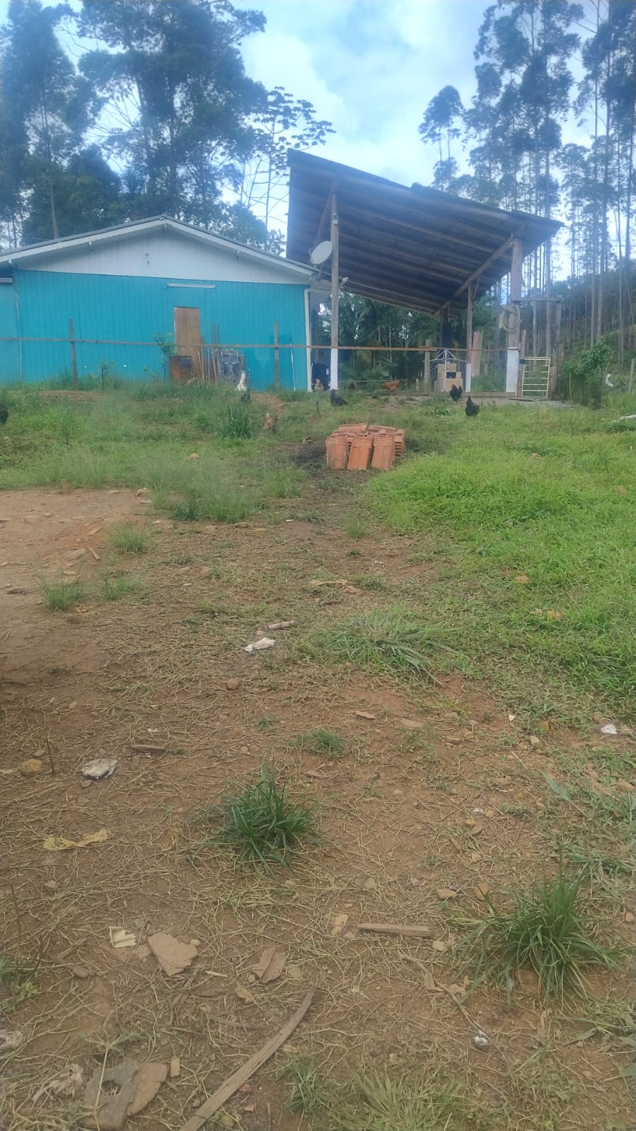Casa de Madeira no Sert&atilde;o do Valongo  em Porto Belo SC Rua Valdemar Marinh Caetano Porto Belo - 
