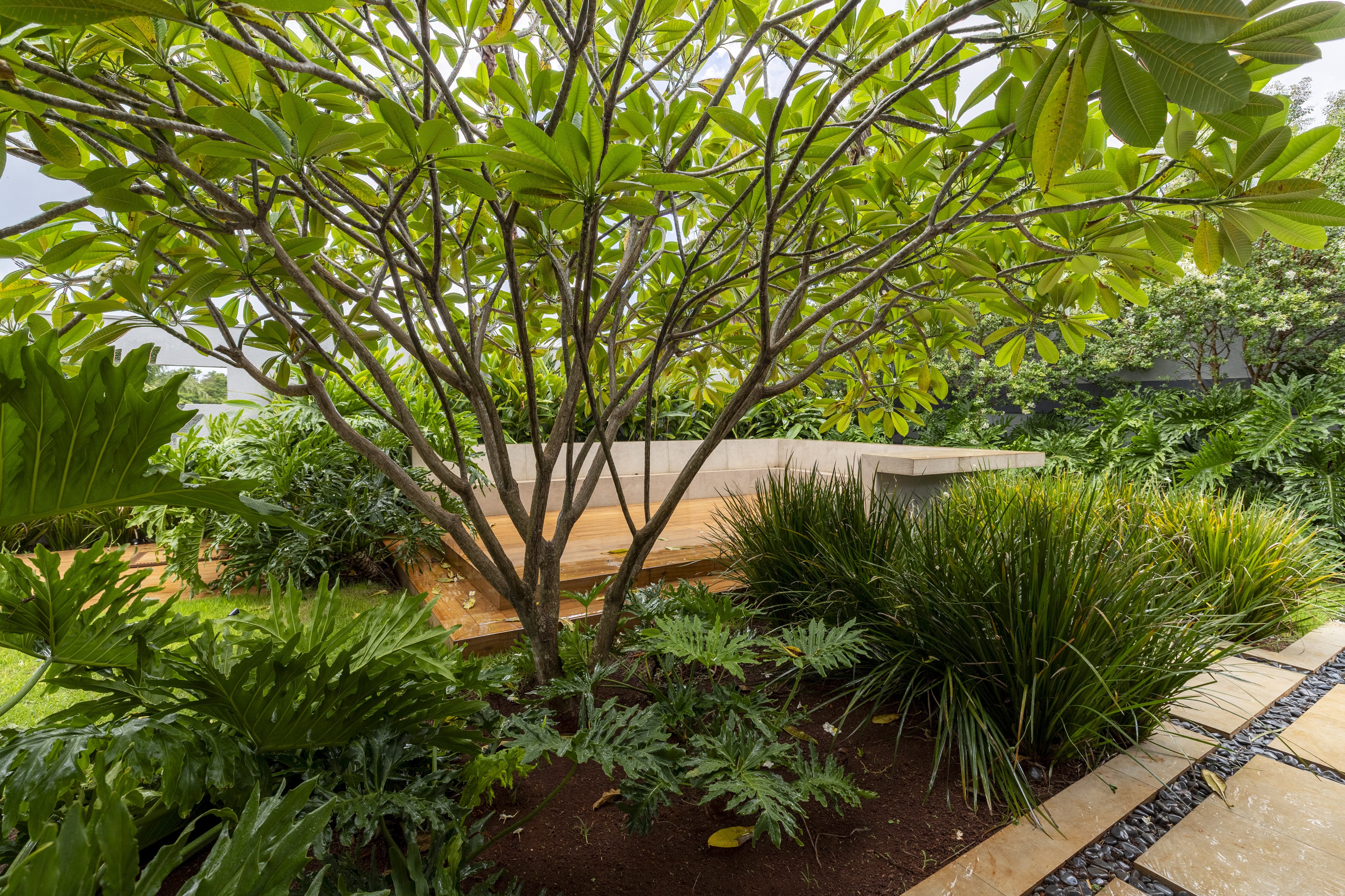 Casa &agrave; Venda Condominio Residencial Fazenda Santa Maria, 812m&sup2;, 3 Su&iacute;tes, Cravinhos/SP Rua Magnolias  CRAVINHOS - 