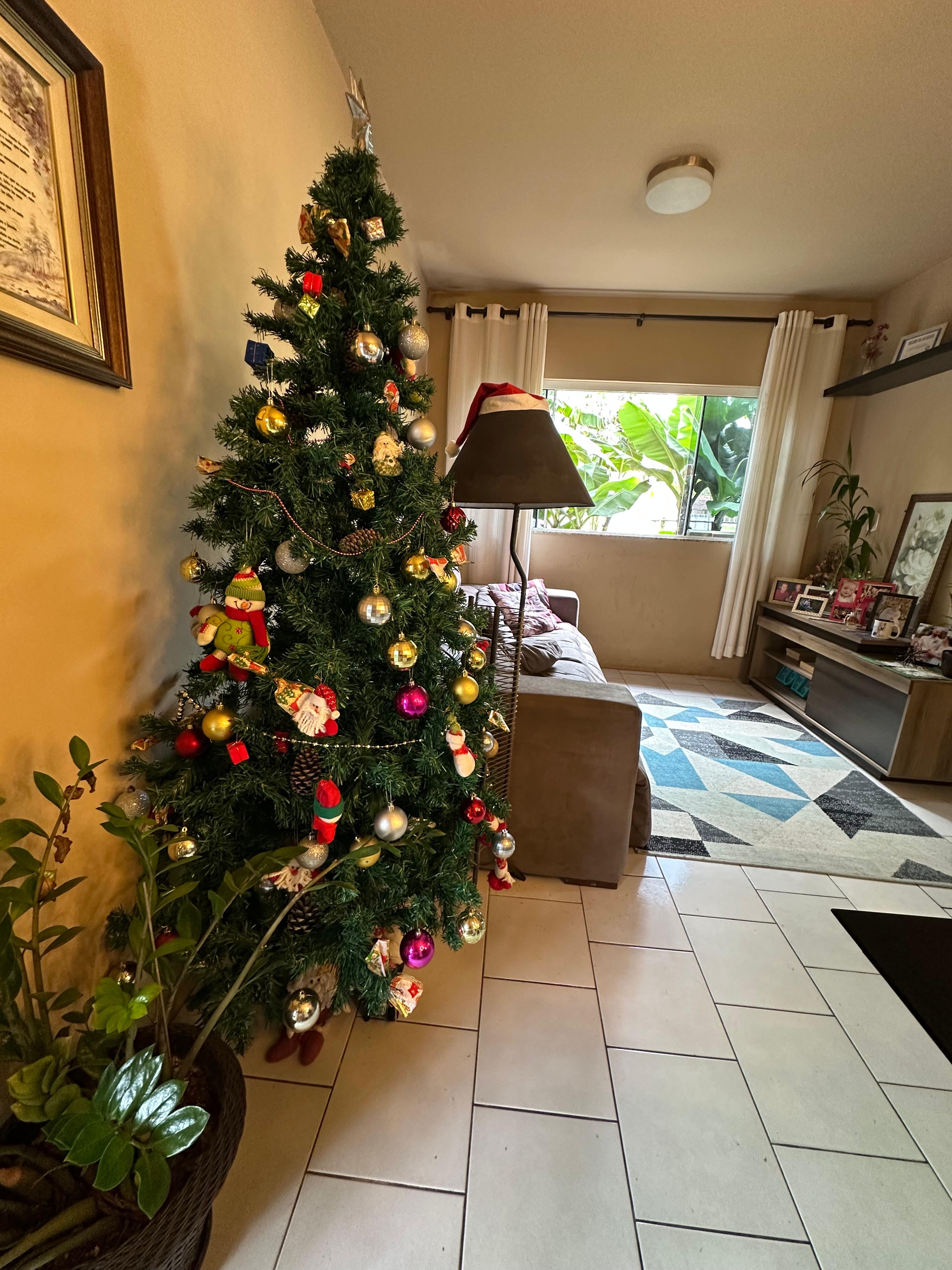 Casa em Timb&oacute; com 3 dormit&oacute;rios e 2 banheiros. Possui galp&atilde;o nos fundos  Timbó - 