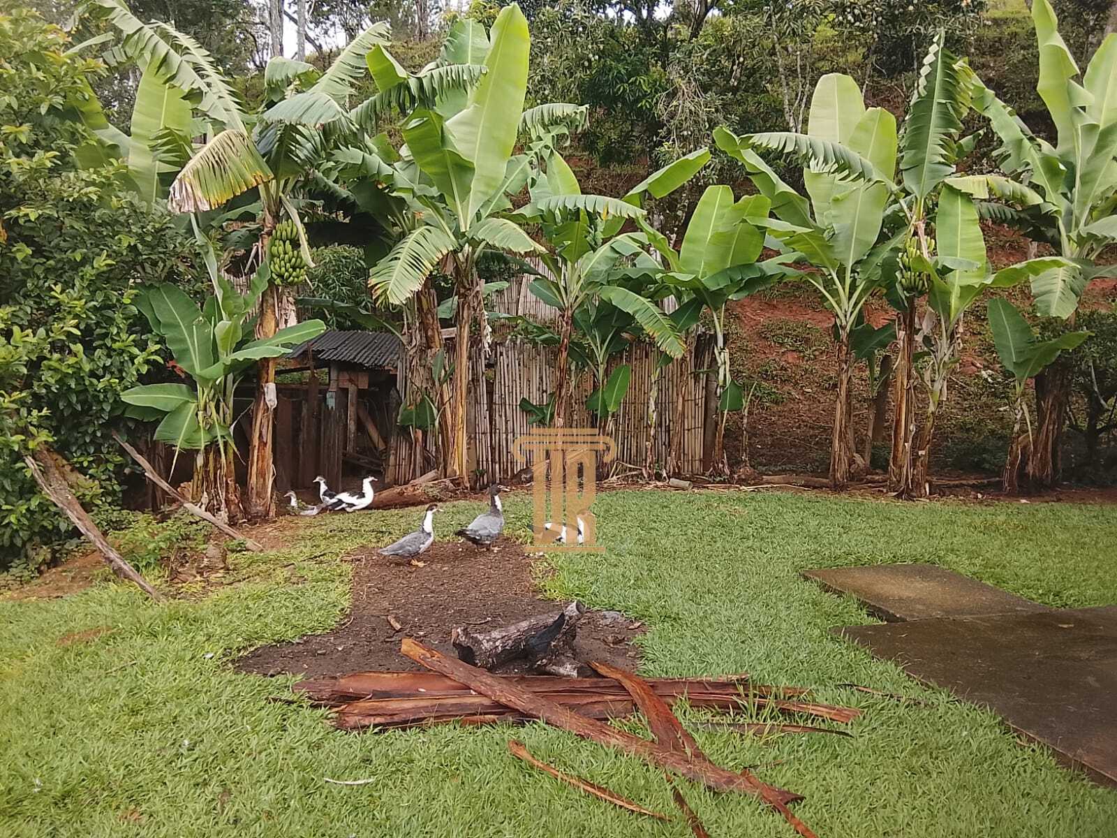 Sitio de 50.000m&sup2; a venda na zona norte de S&atilde;o Jos&eacute; dos Campos - SP  São José dos Campos - 