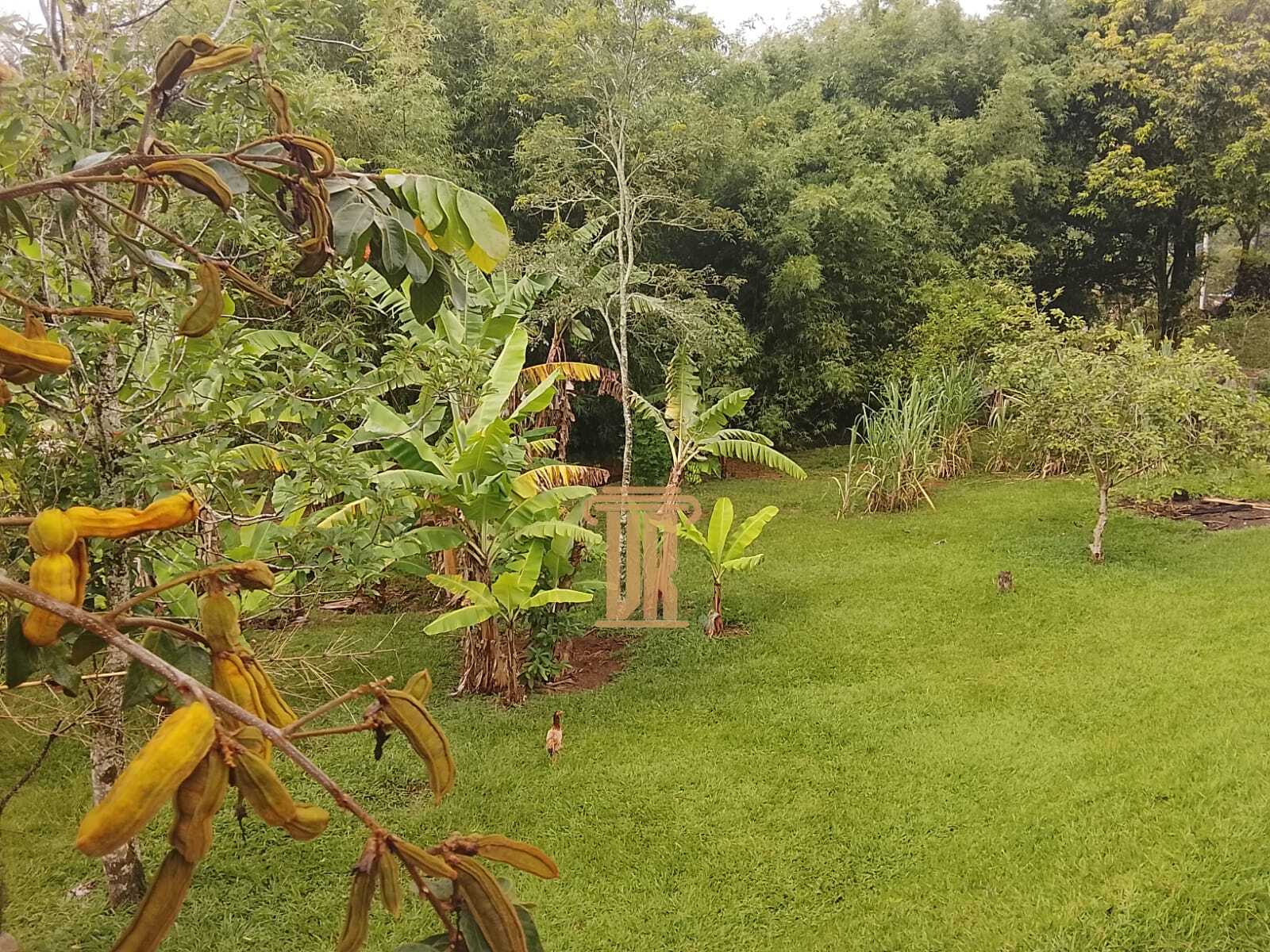 Sitio de 50.000m&sup2; a venda na zona norte de S&atilde;o Jos&eacute; dos Campos - SP  São José dos Campos - 