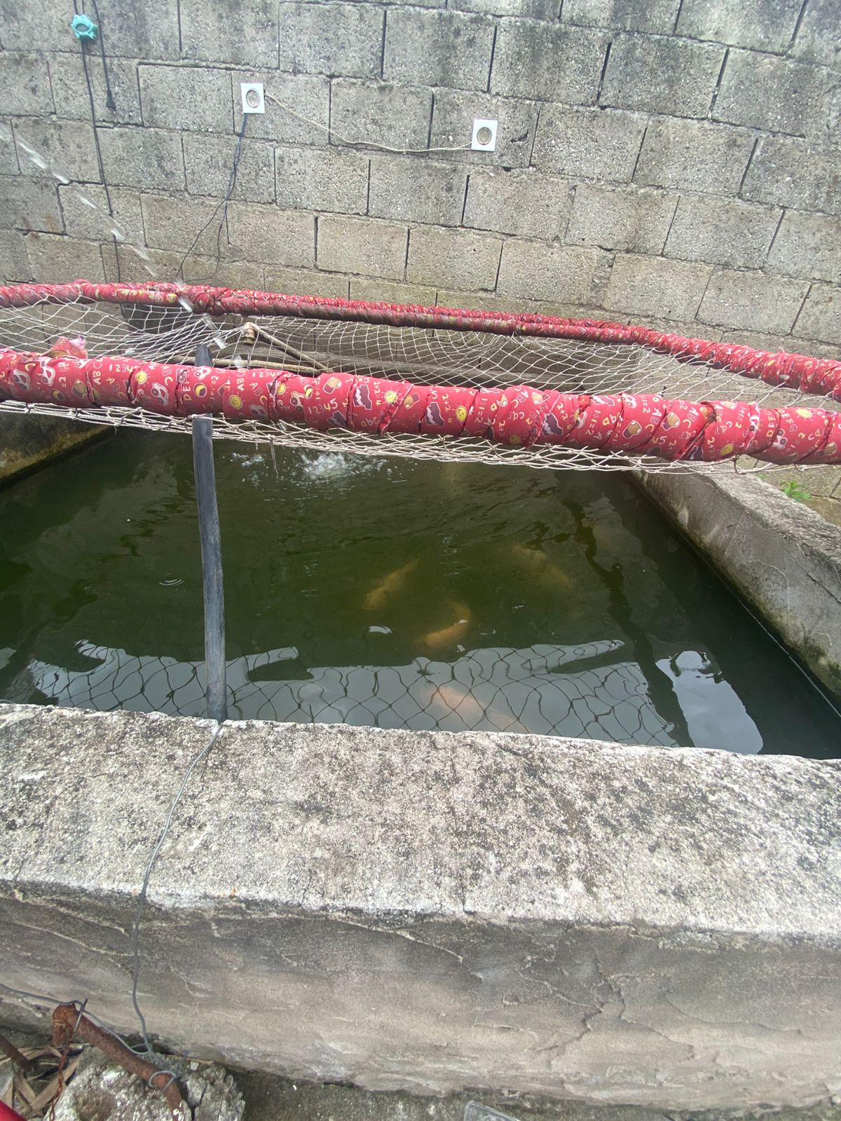 Casa 2 dormit&oacute;rios- Jardim Layr  Mogi das Cruzes - 