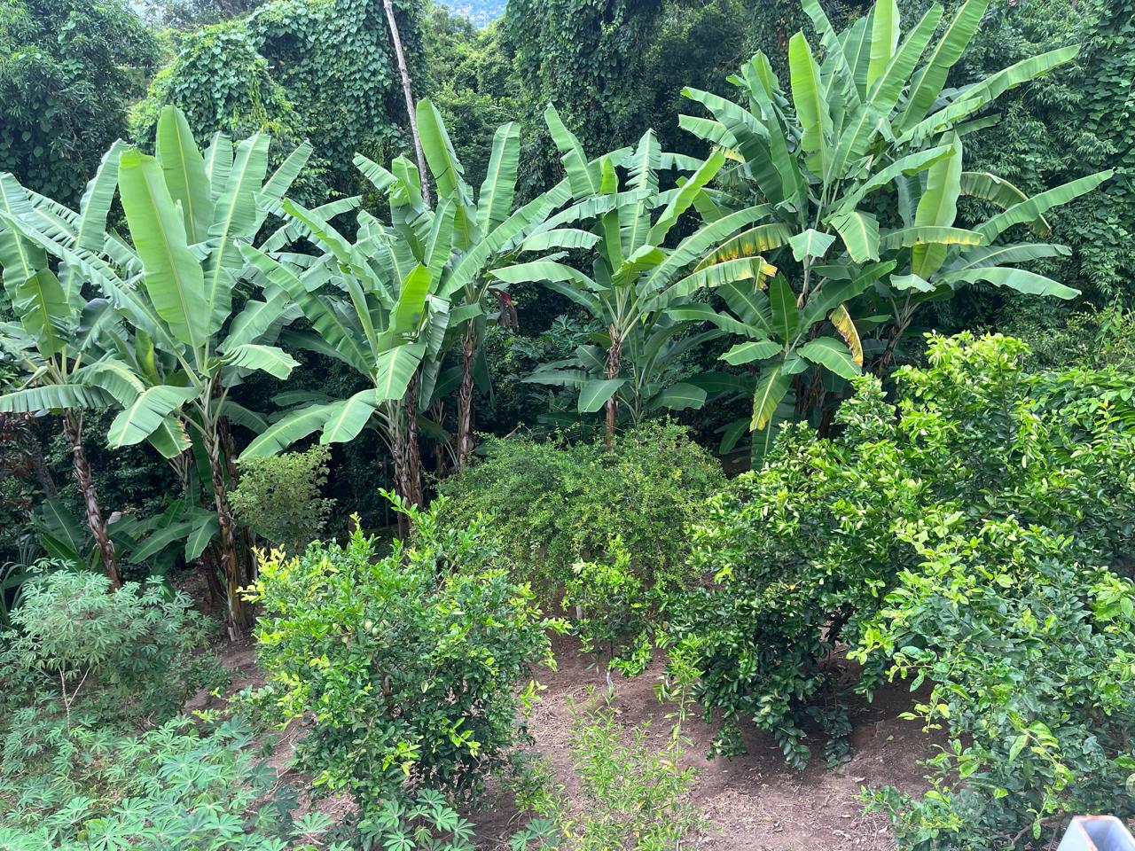 VENDO LINDA CASA - EXCELENTE LOCALIZA&Ccedil;&Atilde;O - 6 SU&Iacute;TES - 4 VAGAS - PISCINA Alameda Piúva Ilhabela - 