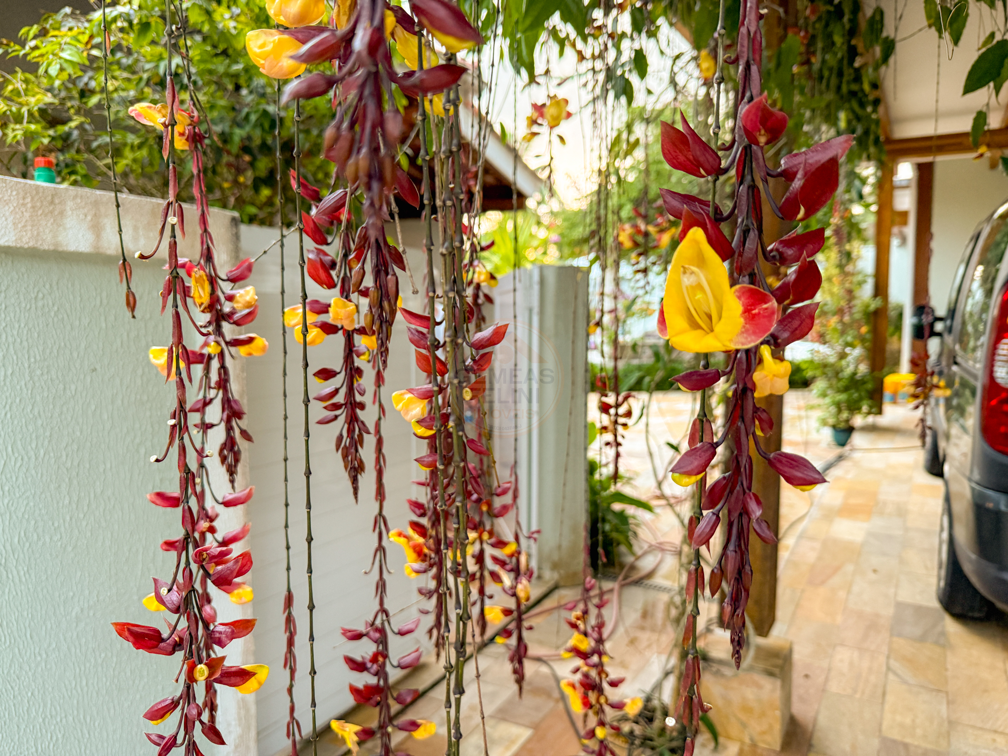 Casa exclusiva em juquehy com 5 su&iacute;tes, &aacute;rea gourmet completa e casa de caseiro - VENDA Rua Argemiro Amâncio dos Santos São Sebastião - 