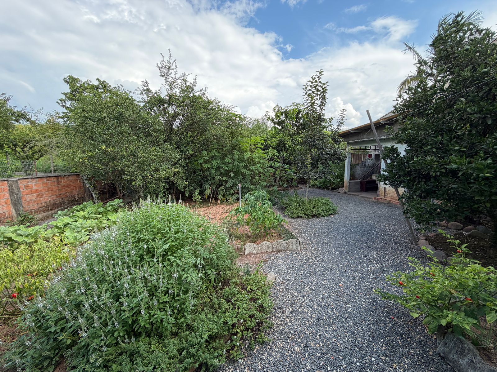 Casa no Bairro Fritz Lorenz Rua Hermann Berndt Timbó - 