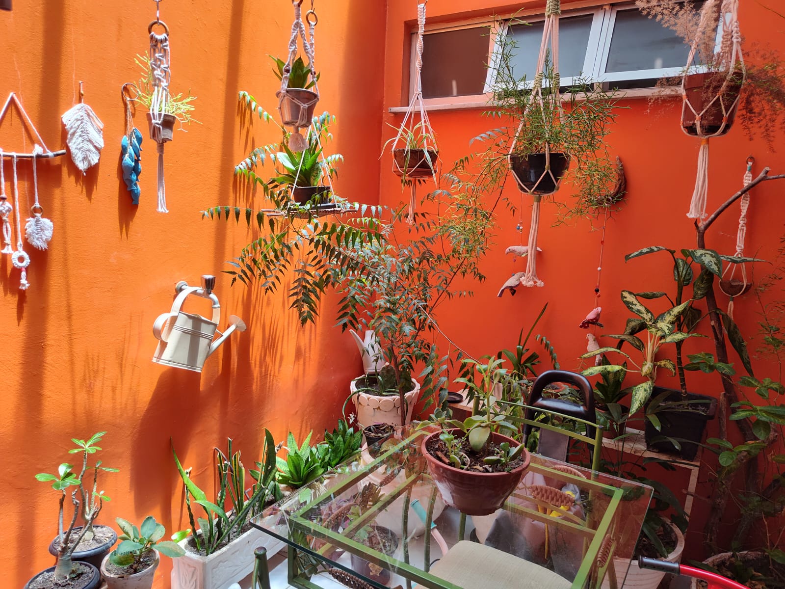 APARTAMENTO 3 QUARTOS 2 SU&Iacute;TES GABINETE GARAGEM T&Eacute;RREO &Agrave; VENDA NO RIO VERMELHO Rua Rodrigo Argollo Salvador - 