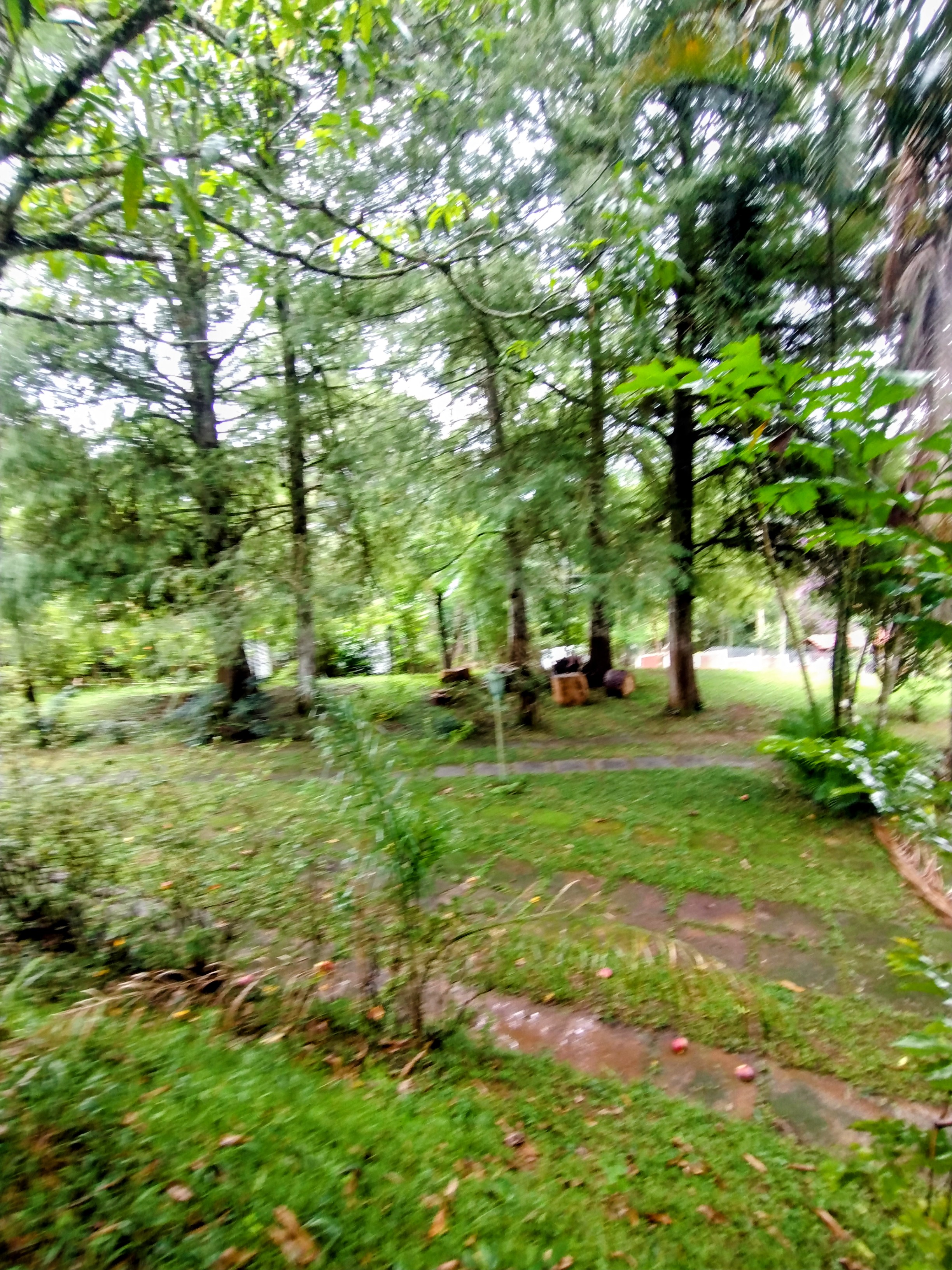 &Oacute;timo terreno &agrave; venda em condom&iacute;nio  Igaratá - 