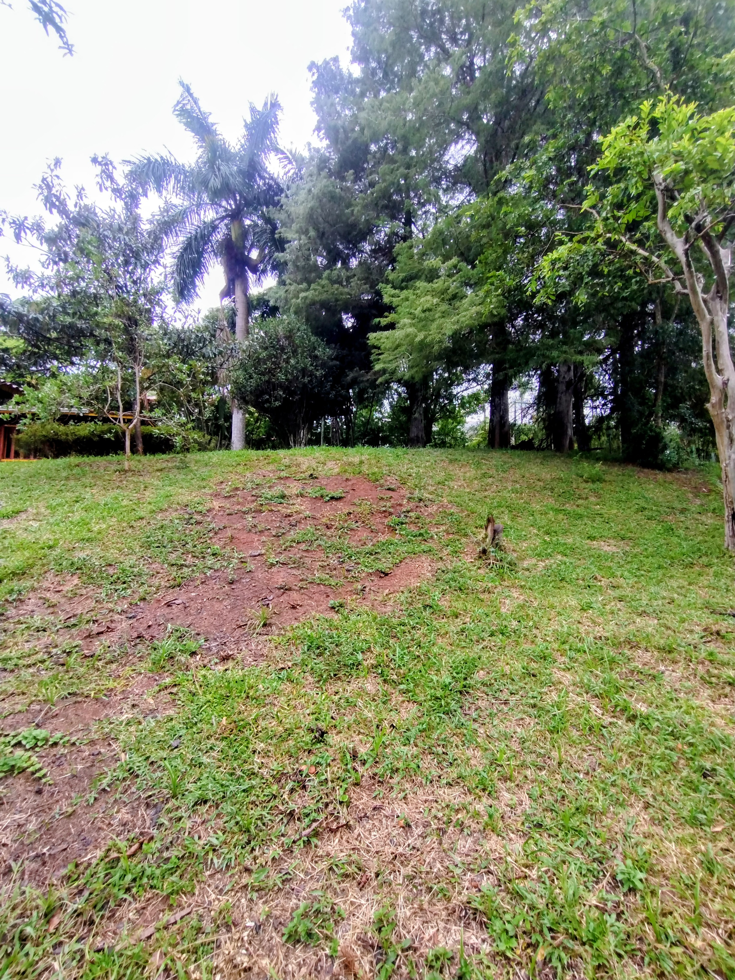 &Oacute;timo terreno &agrave; venda em condom&iacute;nio  Igaratá - 