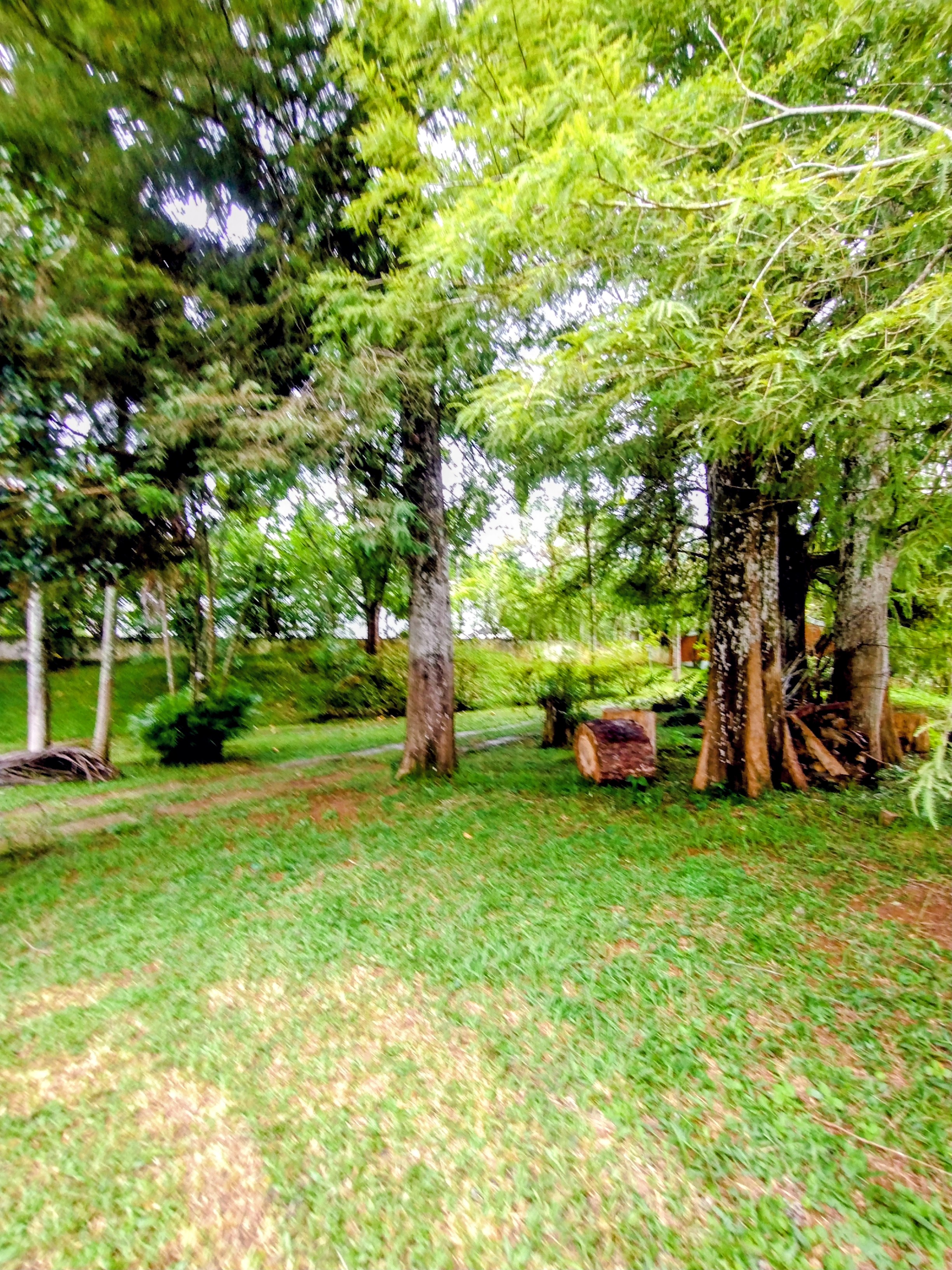 &Oacute;timo terreno &agrave; venda em condom&iacute;nio  Igaratá - 