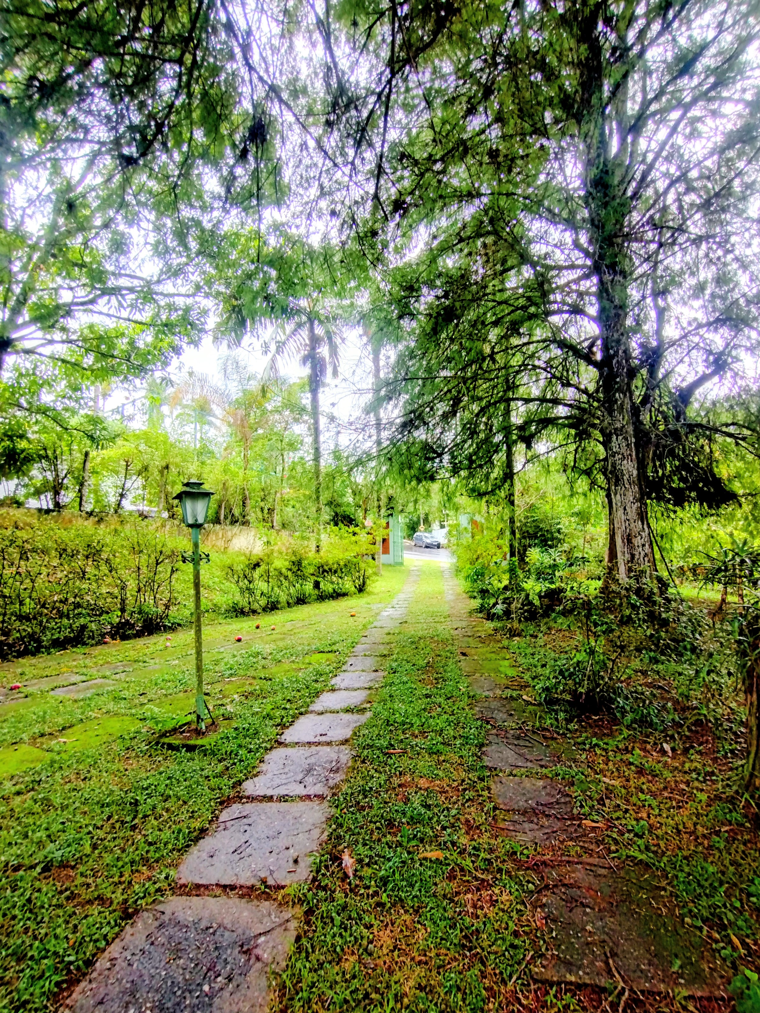 &Oacute;timo terreno &agrave; venda em condom&iacute;nio  Igaratá - 