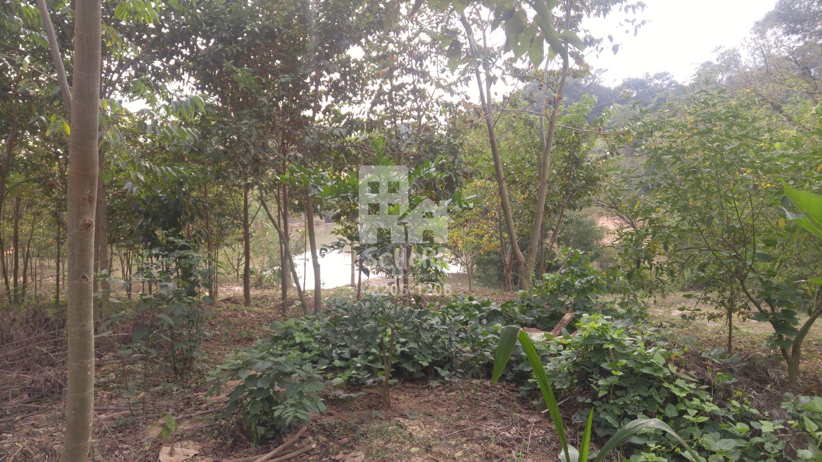 🌿 S&Iacute;TIO &Agrave; VENDA EM TATU&Iacute; &ndash; ESTRUTURA COMPLETA E EXCELENTE LOCALIZA&Ccedil;&Atilde;O 🌿  Tatuí - 