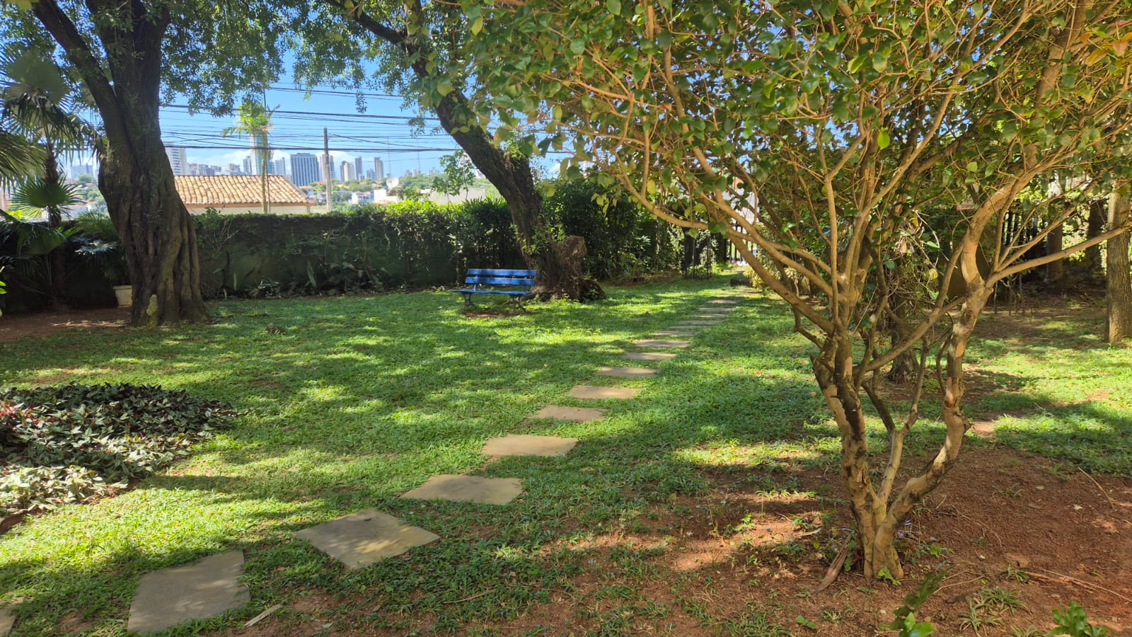 APARTAMENTO 3 QUARTOS 2 SU&Iacute;TES VARANDA NASCENTE ELEVADOR PORTARIA &Agrave; VENDA NA FEDERA&Ccedil;&Atilde;O! Rua Professor Aristides Novis Salvador - 