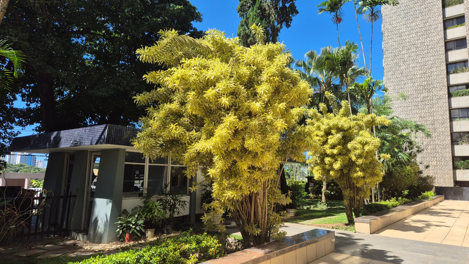 APARTAMENTO 3 QUARTOS 2 SU&Iacute;TES VARANDA NASCENTE ELEVADOR PORTARIA &Agrave; VENDA NA FEDERA&Ccedil;&Atilde;O! Rua Professor Aristides Novis Salvador - 
