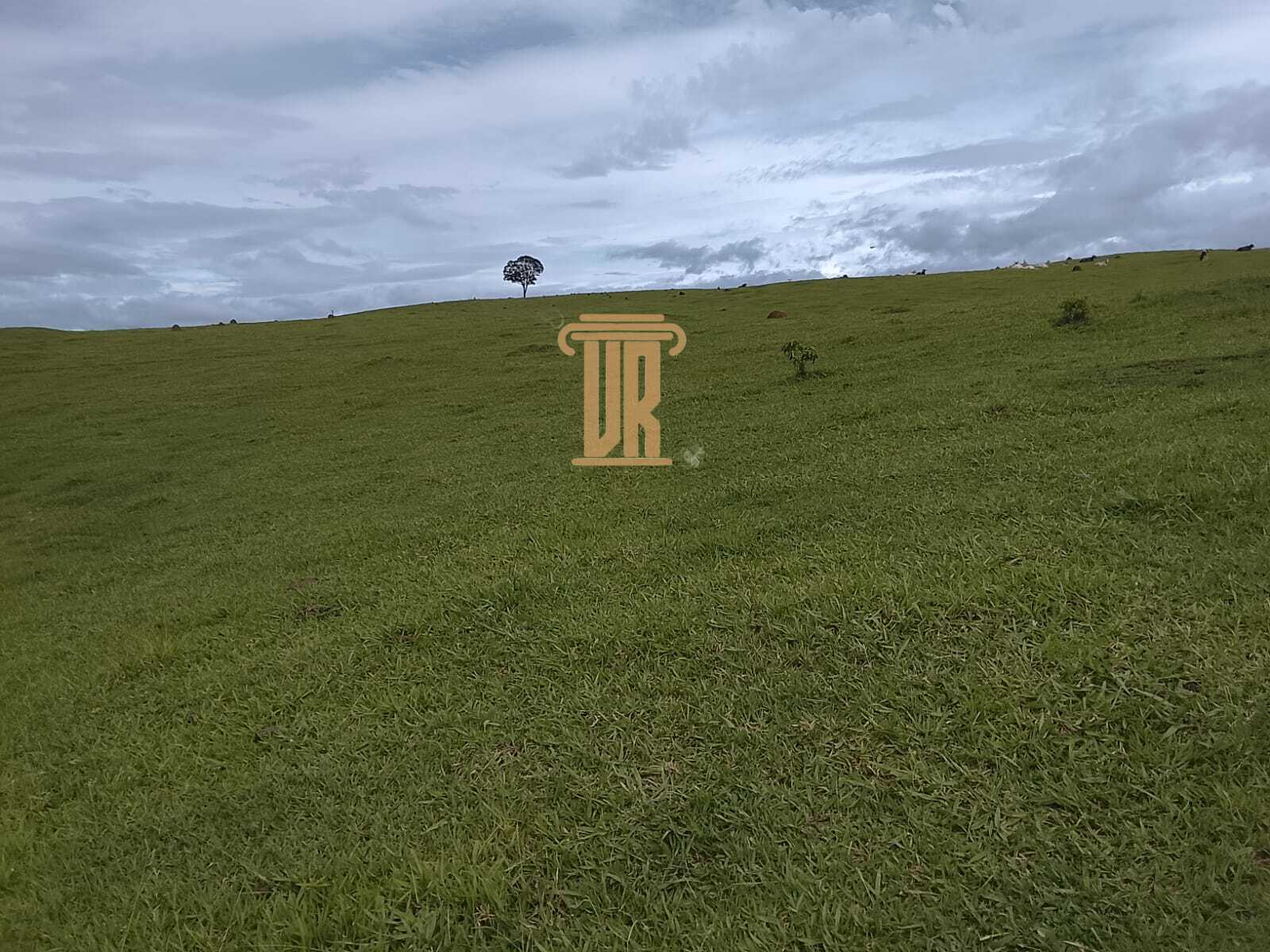 Sitio de 9.43 alqueires em Ca&ccedil;apava - SP  Caçapava - 