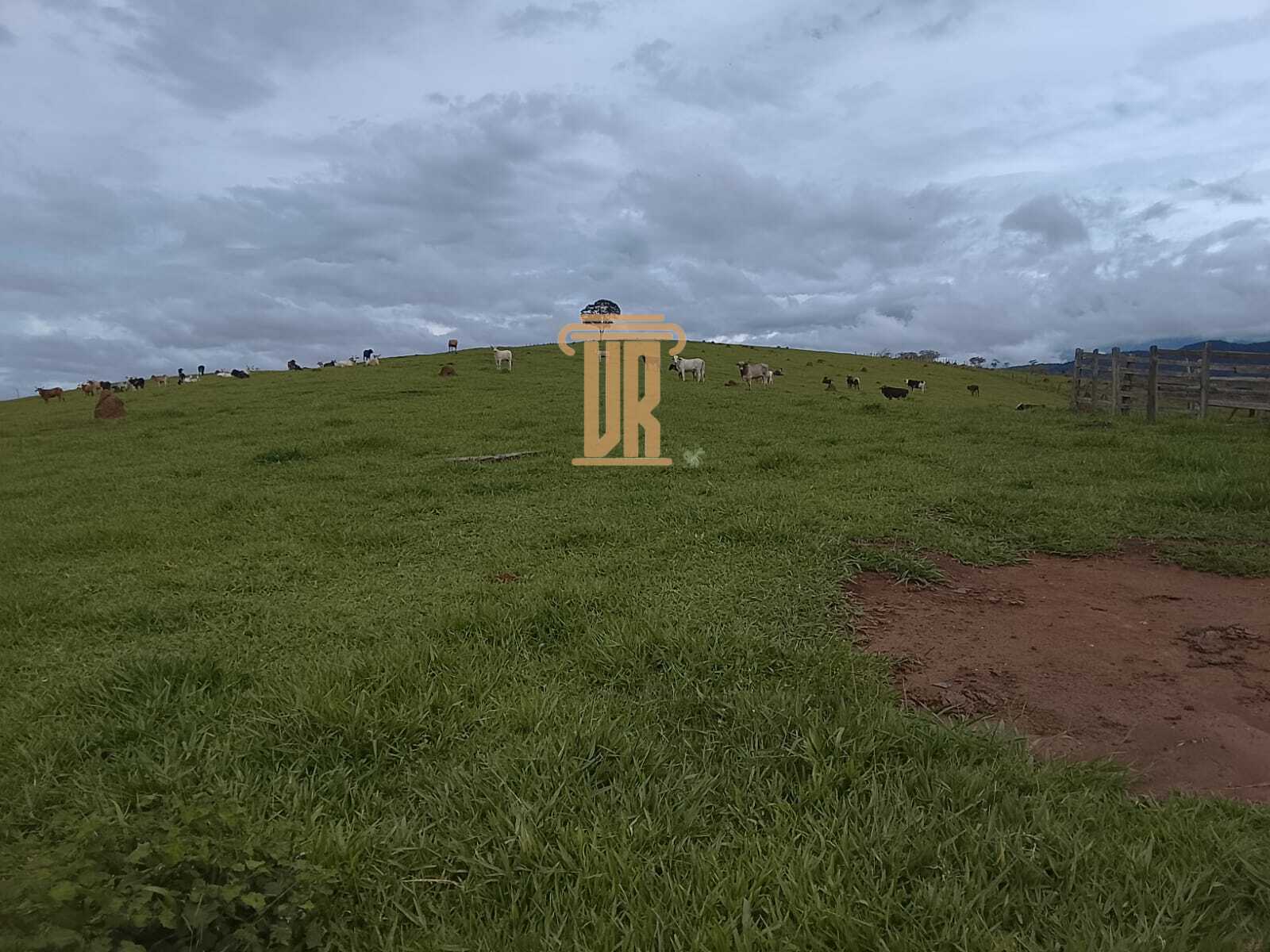 Sitio de 9.43 alqueires em Ca&ccedil;apava - SP  Caçapava - 