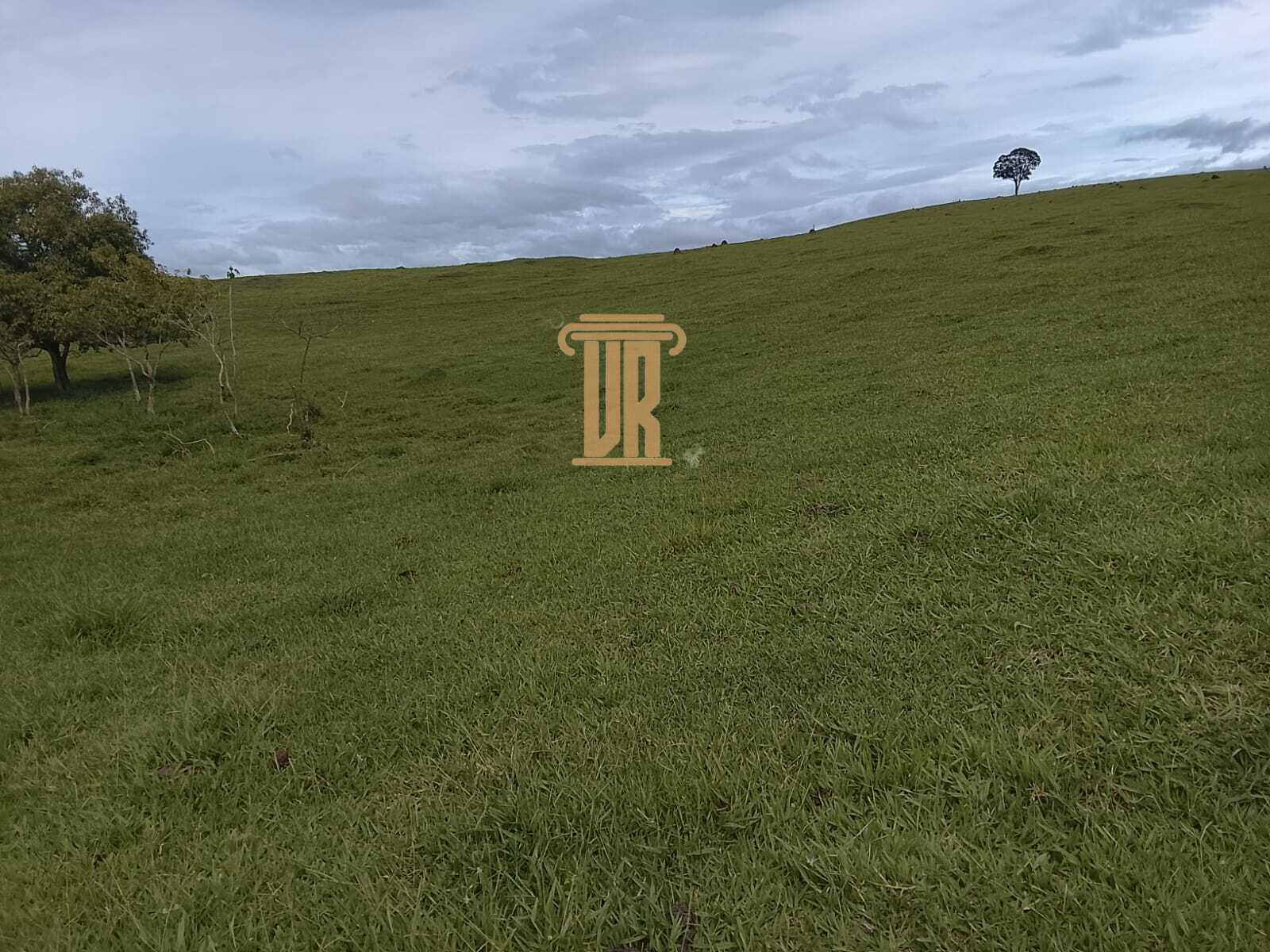 Sitio de 9.43 alqueires em Ca&ccedil;apava - SP  Caçapava - 