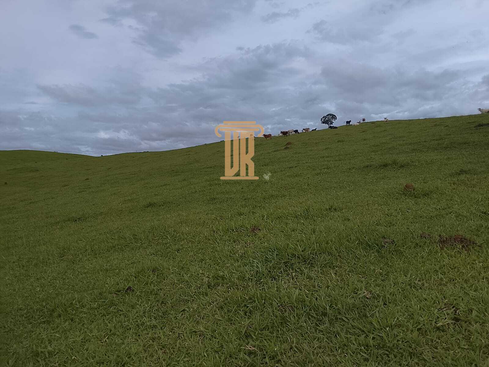 Sitio de 9.43 alqueires em Ca&ccedil;apava - SP  Caçapava - 