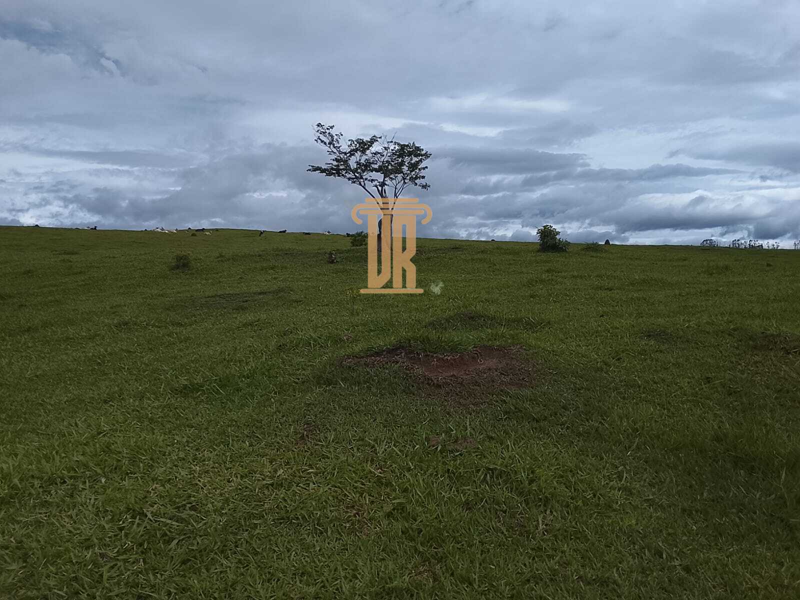 Sitio de 9.43 alqueires em Ca&ccedil;apava - SP  Caçapava - 