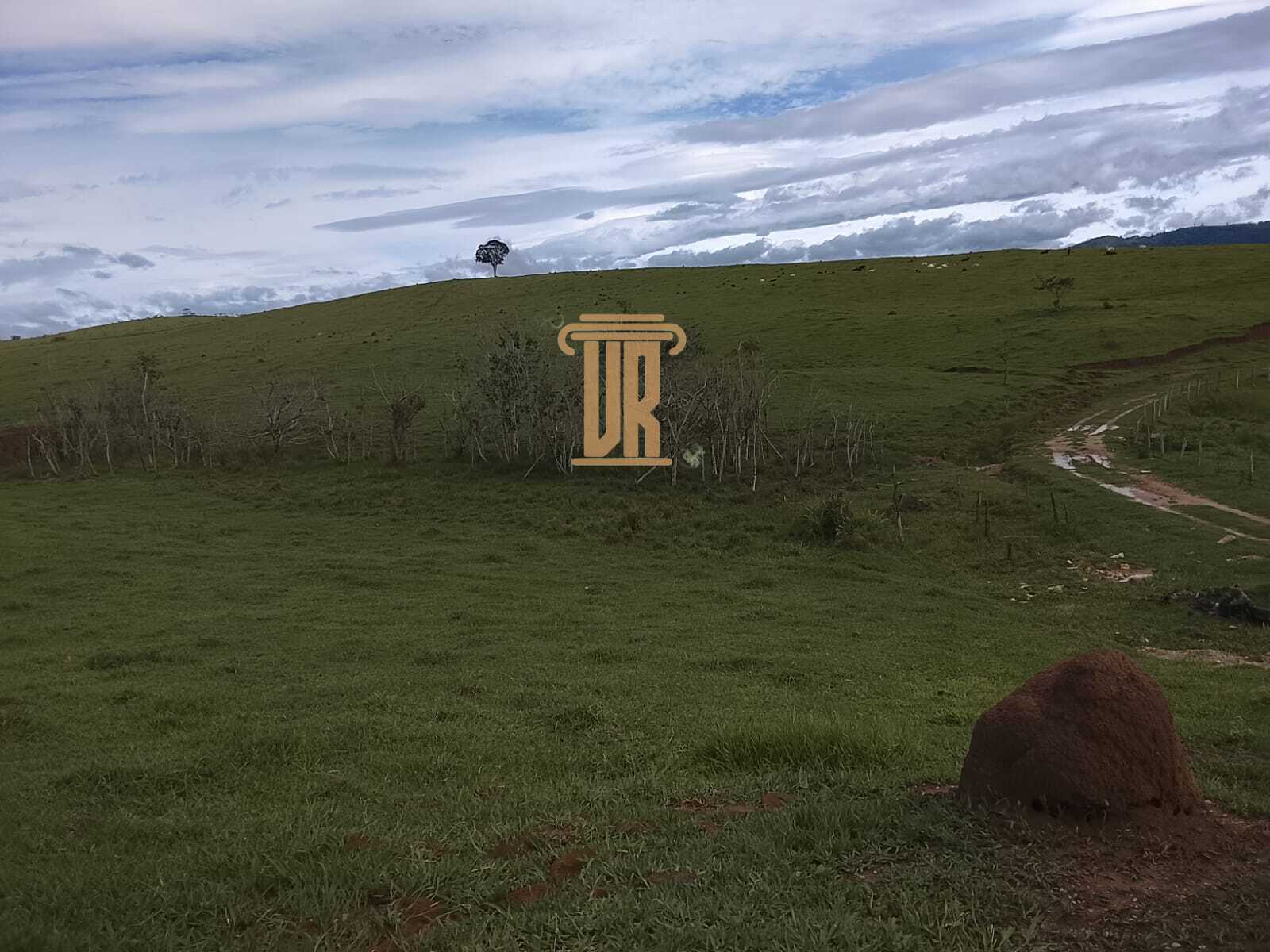 Sitio de 9.43 alqueires em Ca&ccedil;apava - SP  Caçapava - 