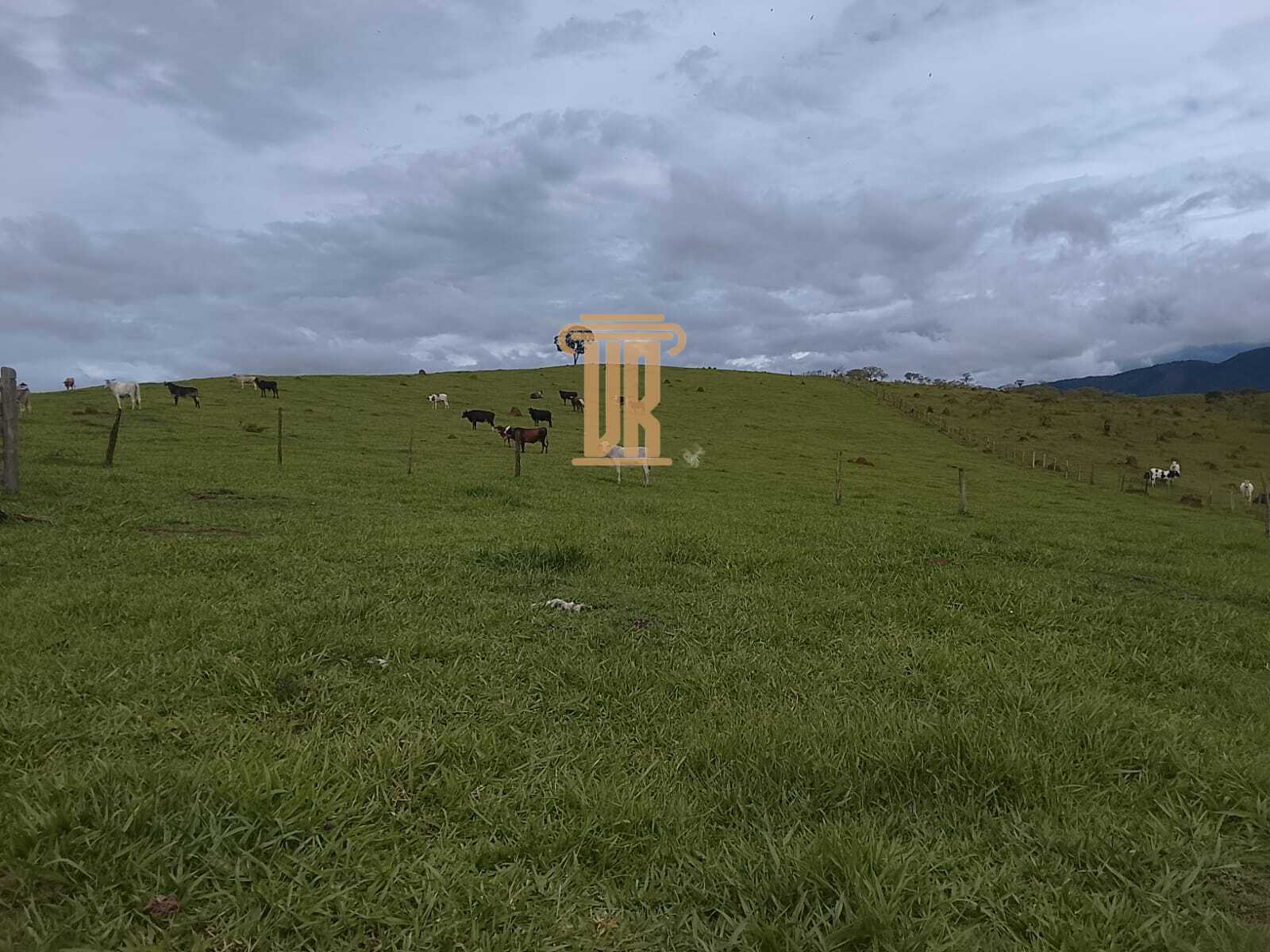 Sitio de 9.43 alqueires em Ca&ccedil;apava - SP  Caçapava - 