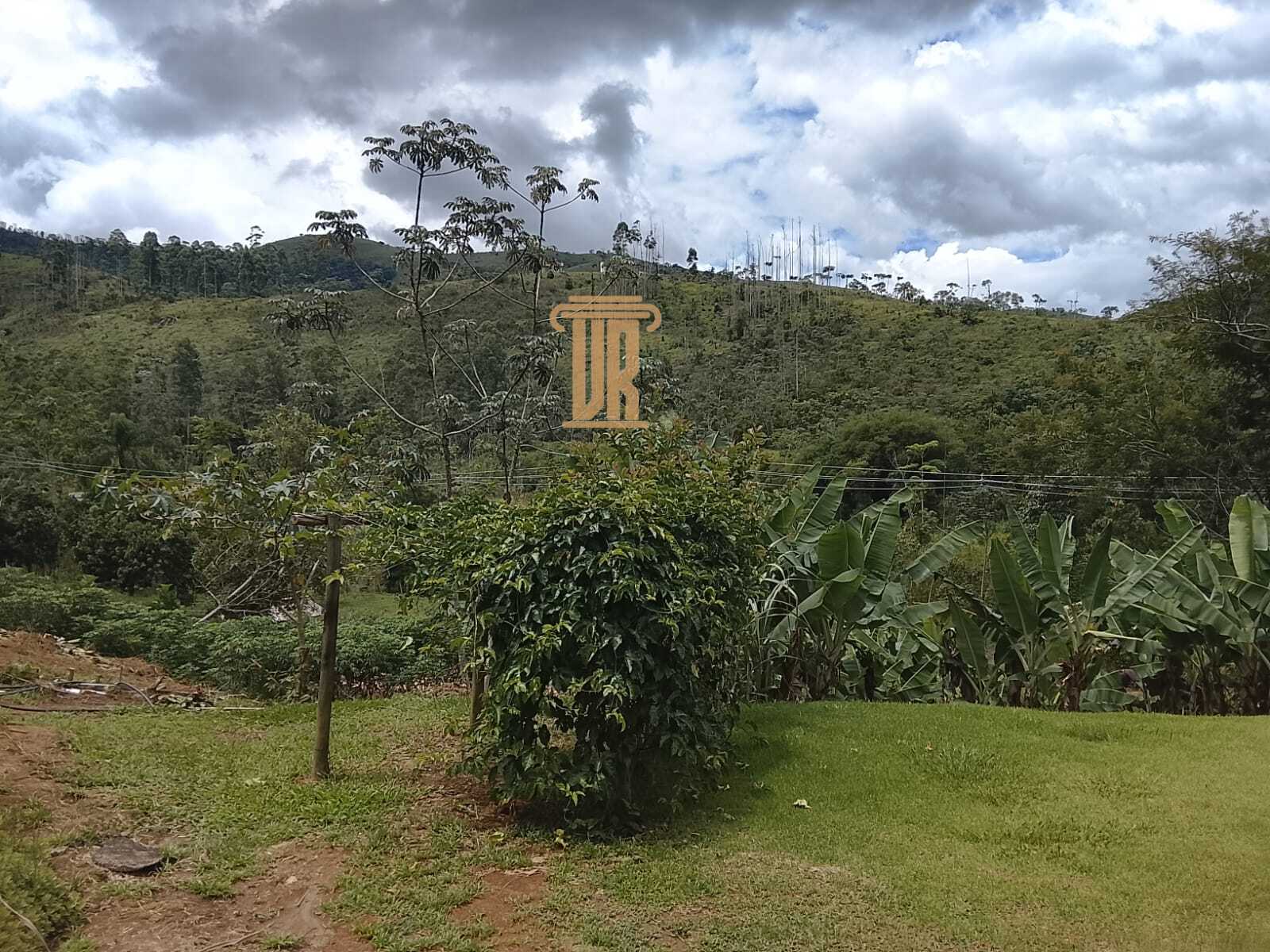 Ch&aacute;cara de 20.000m&sup2; a venda em Monteiro Lobato - SP  MONTEIRO LOBATO - 