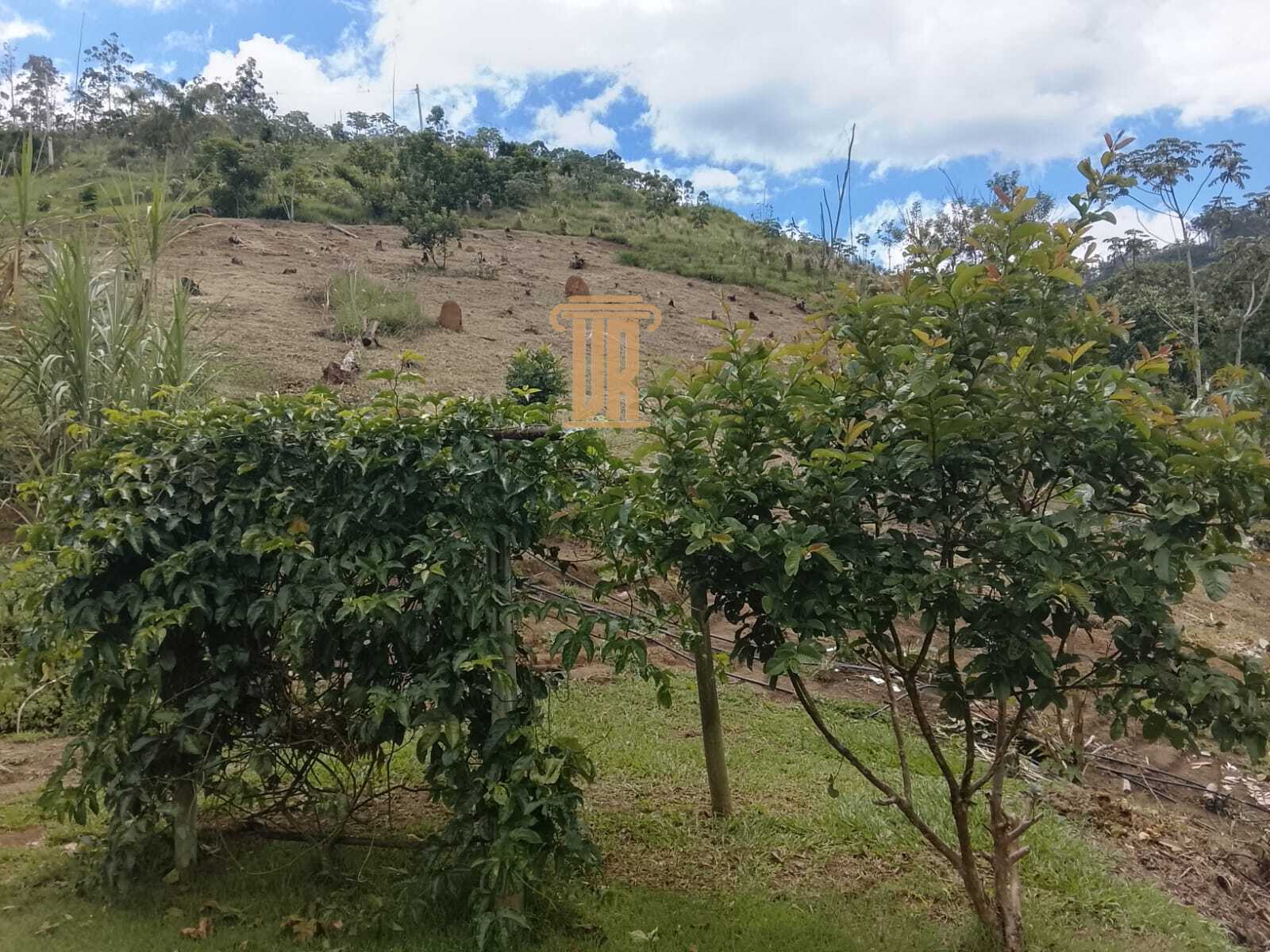 Ch&aacute;cara de 20.000m&sup2; a venda em Monteiro Lobato - SP  MONTEIRO LOBATO - 