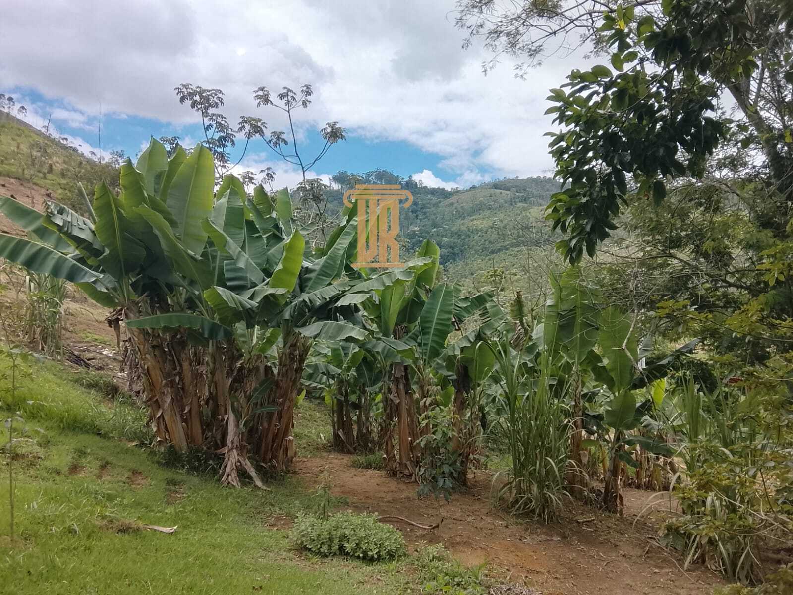 Ch&aacute;cara de 20.000m&sup2; a venda em Monteiro Lobato - SP  MONTEIRO LOBATO - 