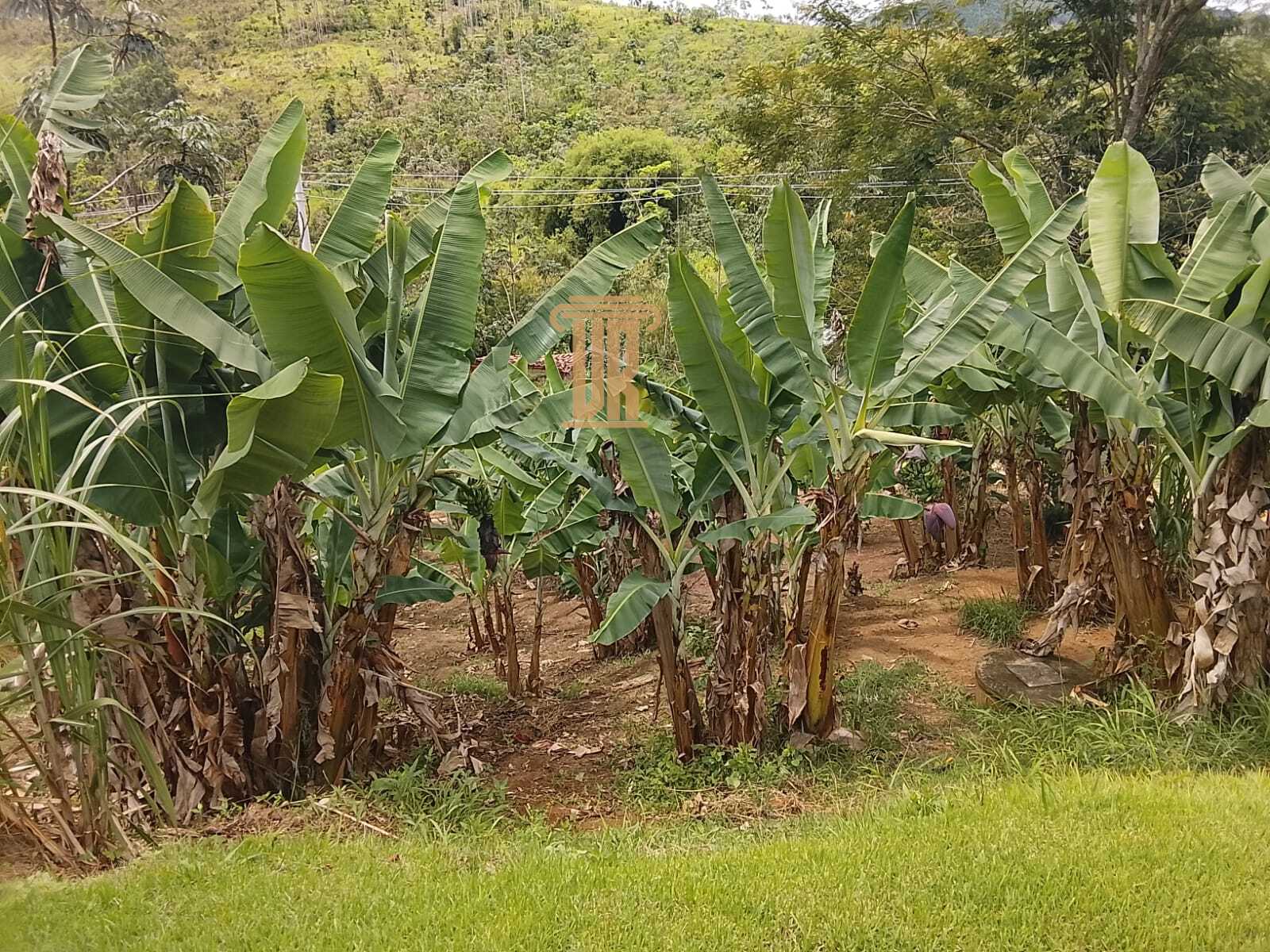 Ch&aacute;cara de 20.000m&sup2; a venda em Monteiro Lobato - SP  MONTEIRO LOBATO - 
