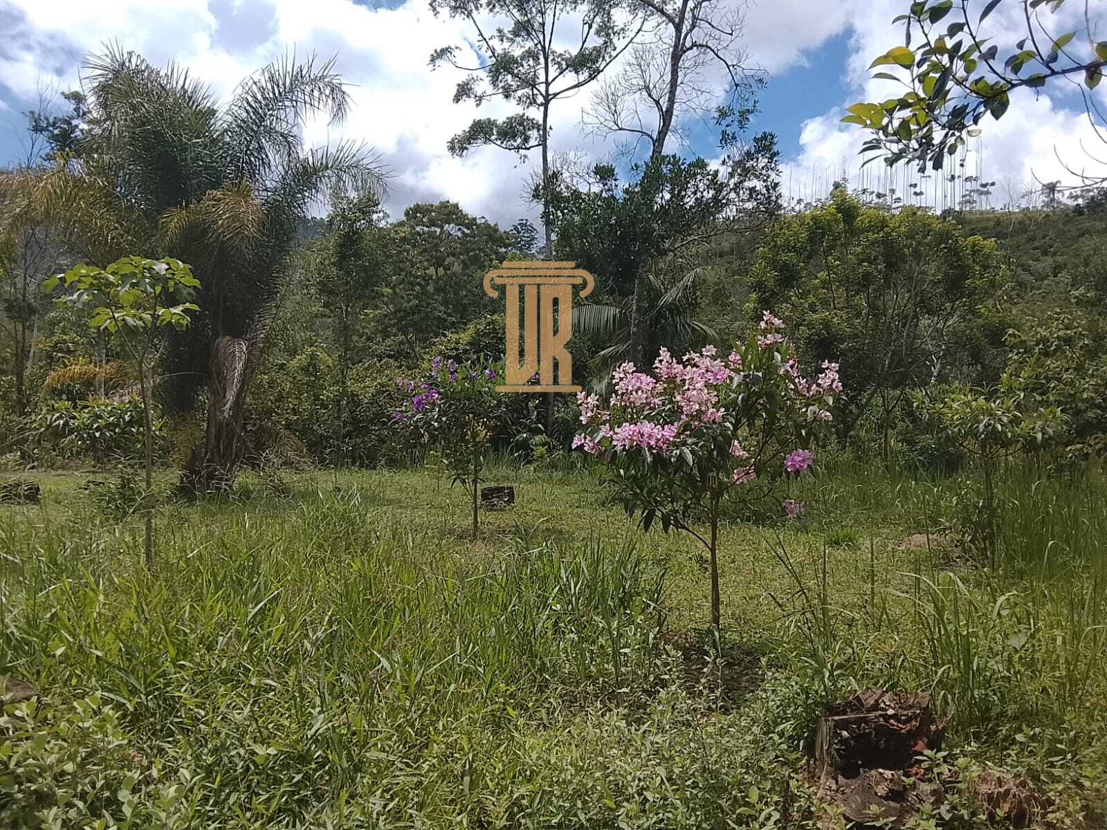 Excelente ch&aacute;cara de 20.000m&sup2; em Monteiro Lobato- SP  MONTEIRO LOBATO - 