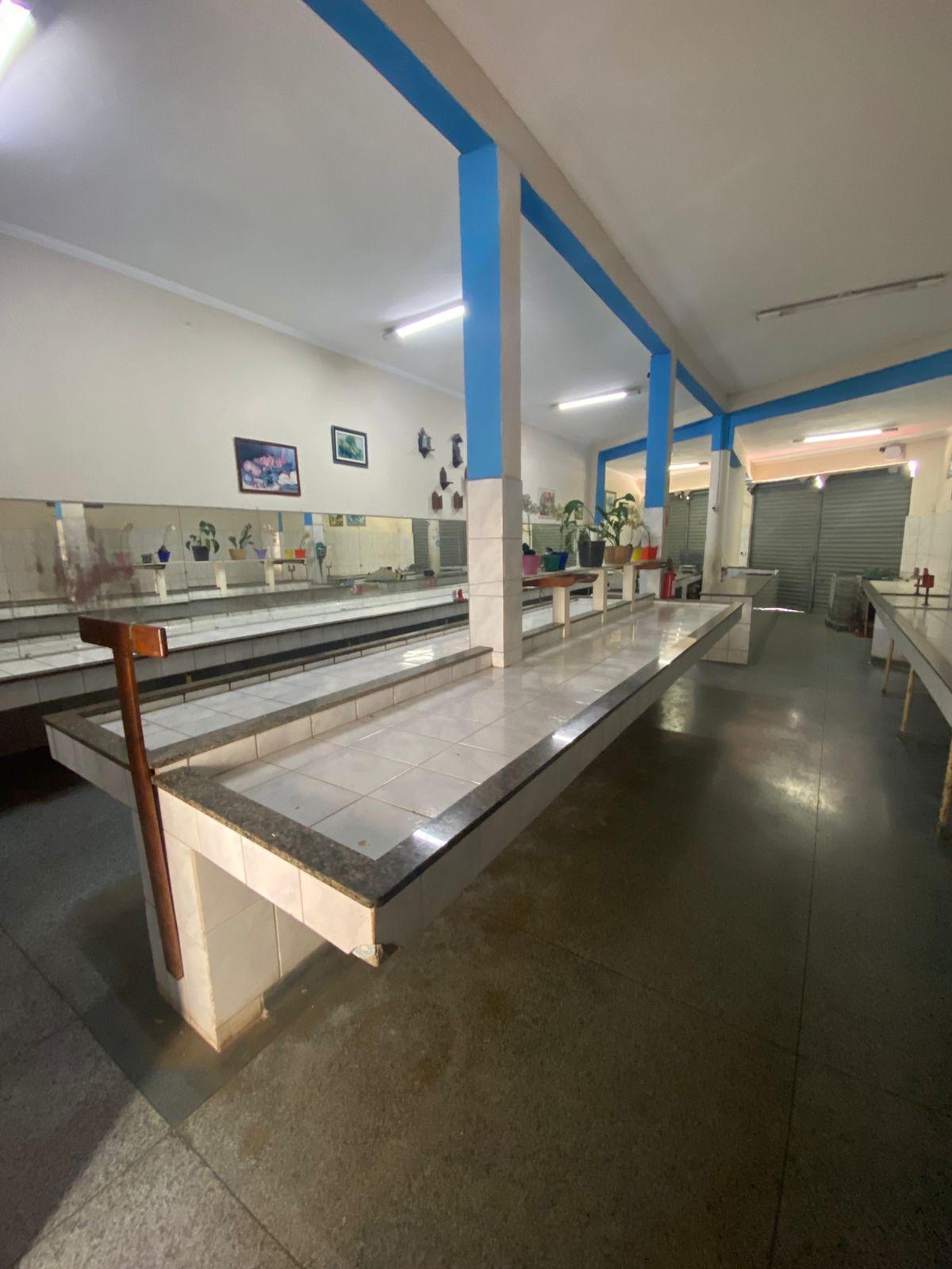 Sal&atilde;o Comercial- Jardim Universo - Rua Thuller  Mogi das Cruzes - 