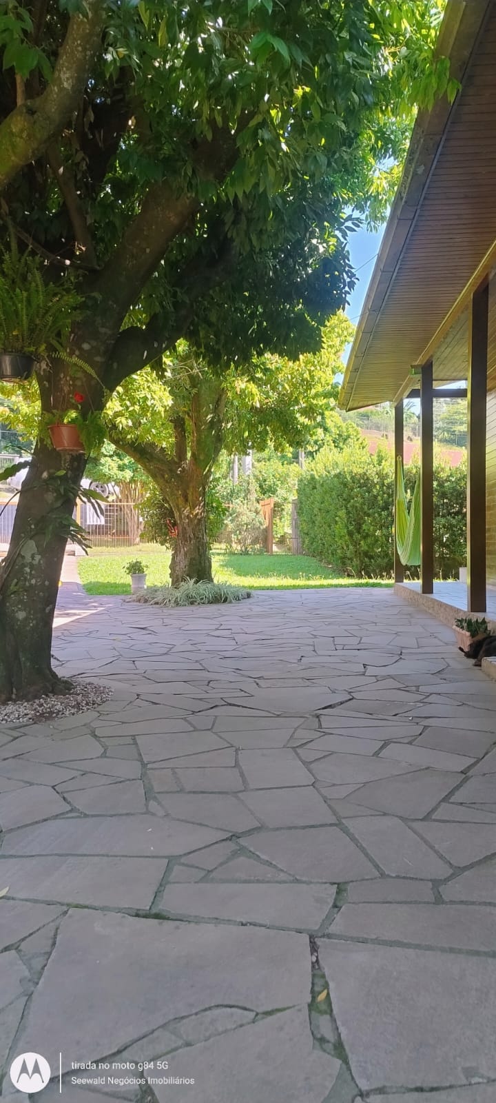 ✓ Lindas Casas em Picada Caf&eacute;!  Picada Café - 