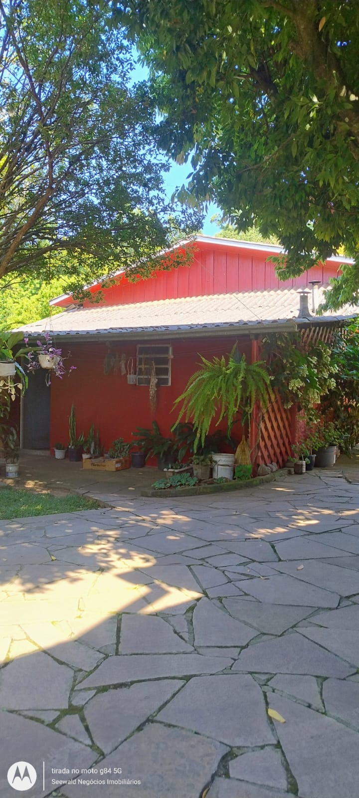 ✓ Lindas Casas em Picada Caf&eacute;!  Picada Café - 