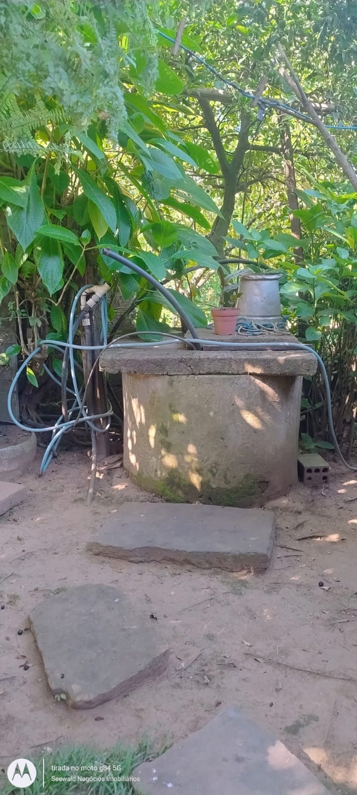 ✓ Lindas Casas em Picada Caf&eacute;!  Picada Café - 