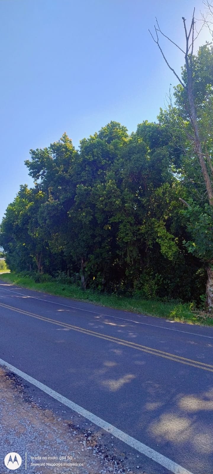 ✓ Bela &aacute;rea para constru&ccedil;&atilde;o ou s&iacute;tio!  Picada Café - 