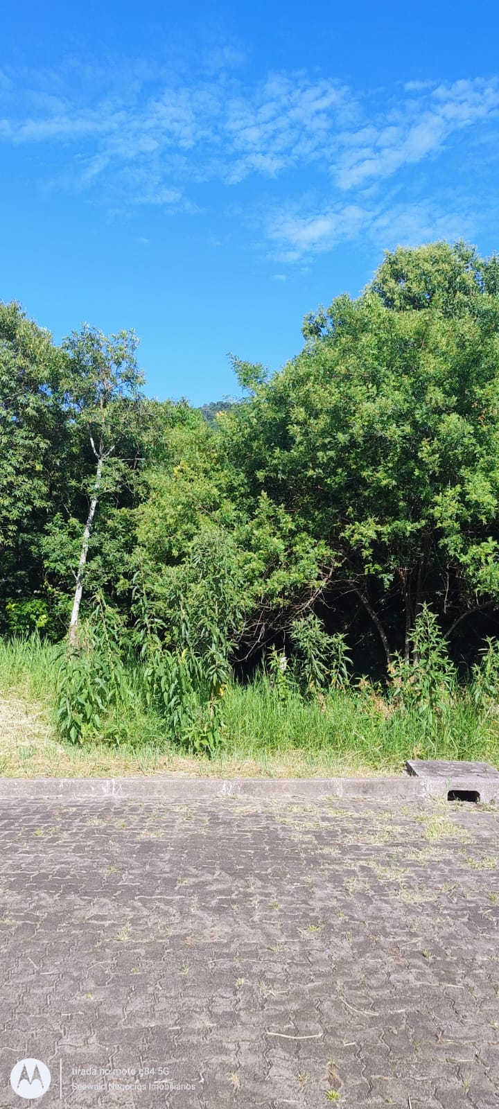 ✓ Bela &aacute;rea para constru&ccedil;&atilde;o ou s&iacute;tio!  Picada Café - 