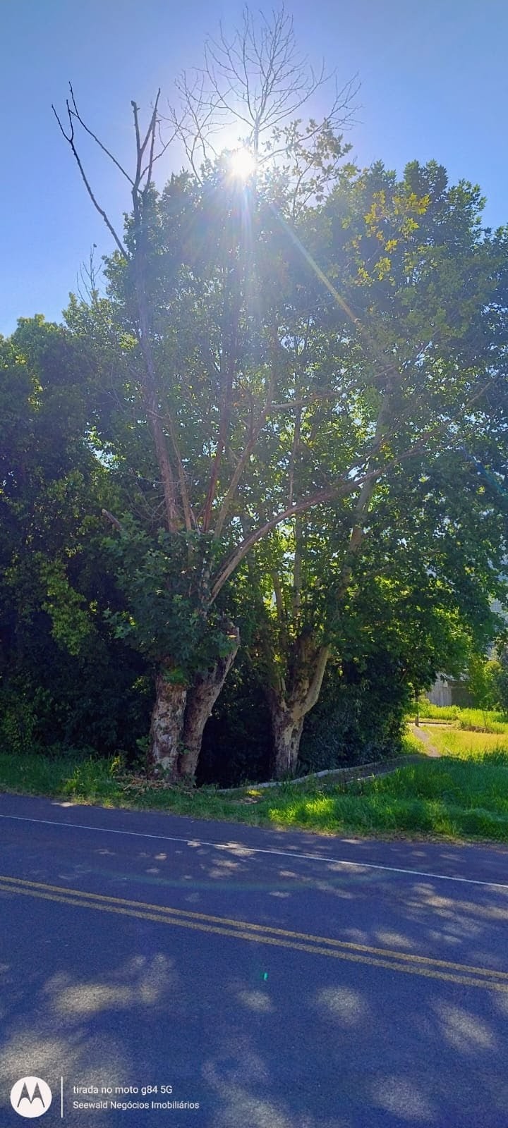 ✓ Bela &aacute;rea para constru&ccedil;&atilde;o ou s&iacute;tio!  Picada Café - 