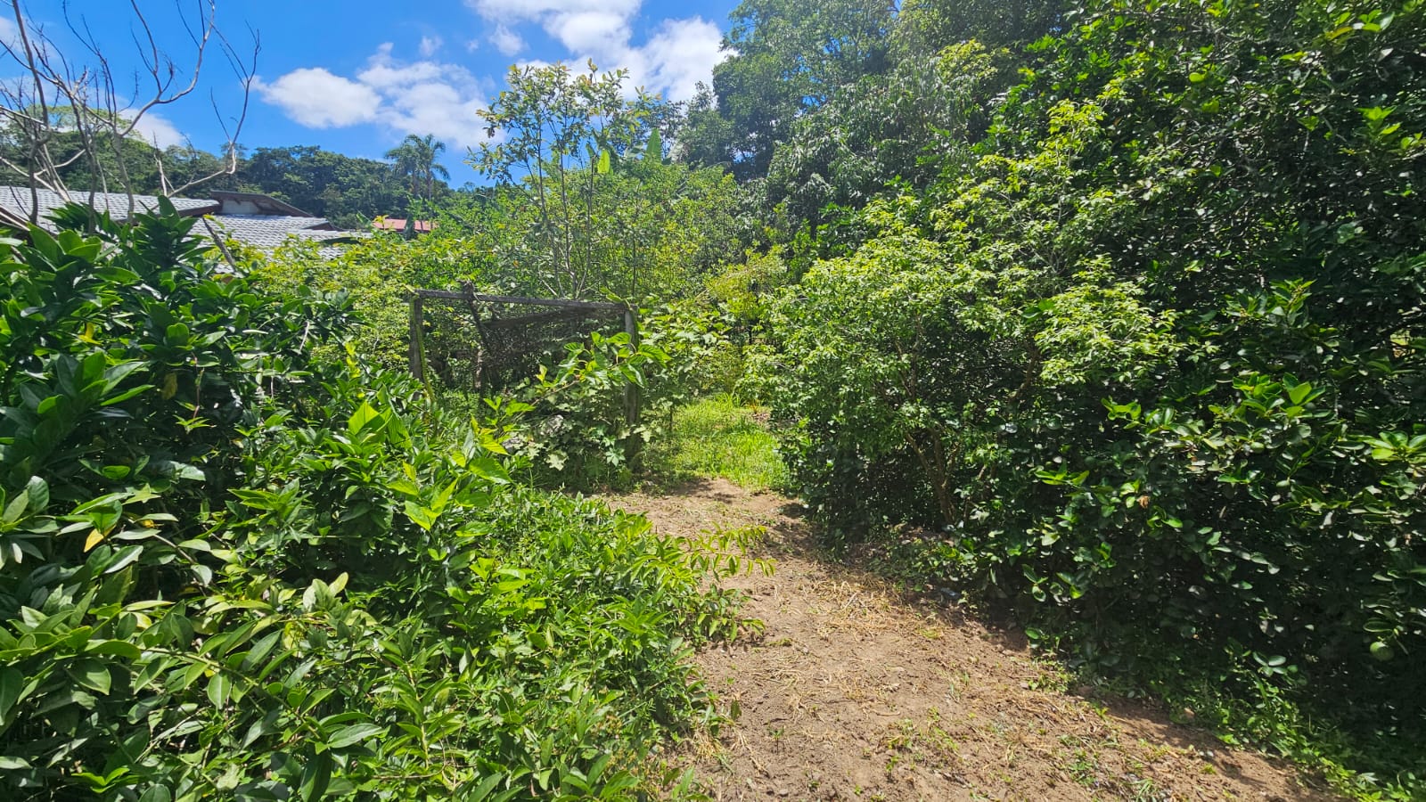 Ch&aacute;cara com 800 m&sup2; a venda em S&atilde;o Jos&eacute; dos Campos - SP  São José dos Campos - 