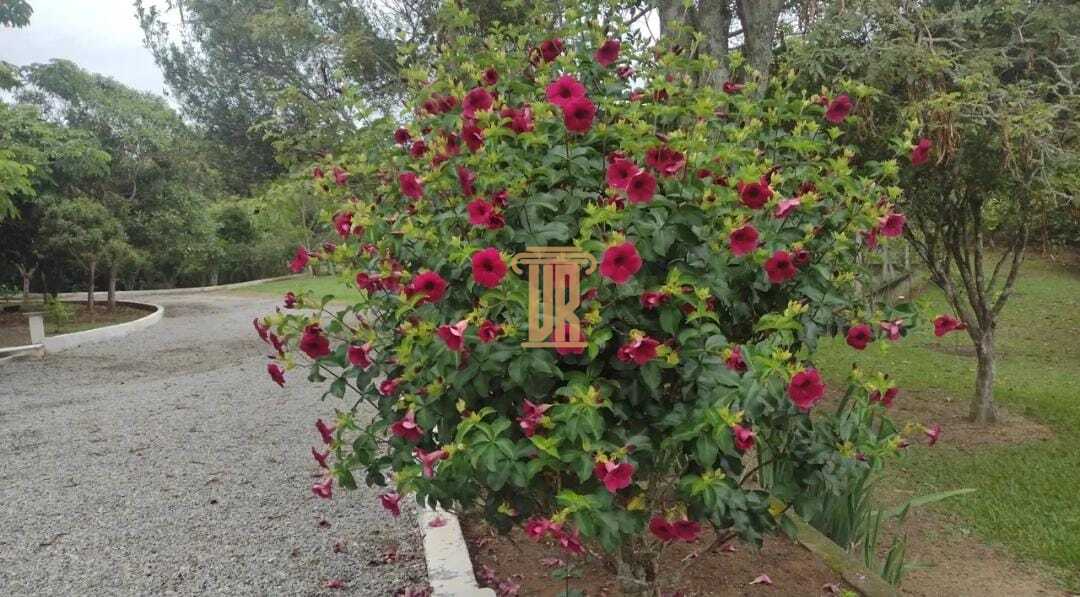 Ch&aacute;cara maravilhosa em Paraibuna - SP com 6.120m&sup2;  Paraibuna - 