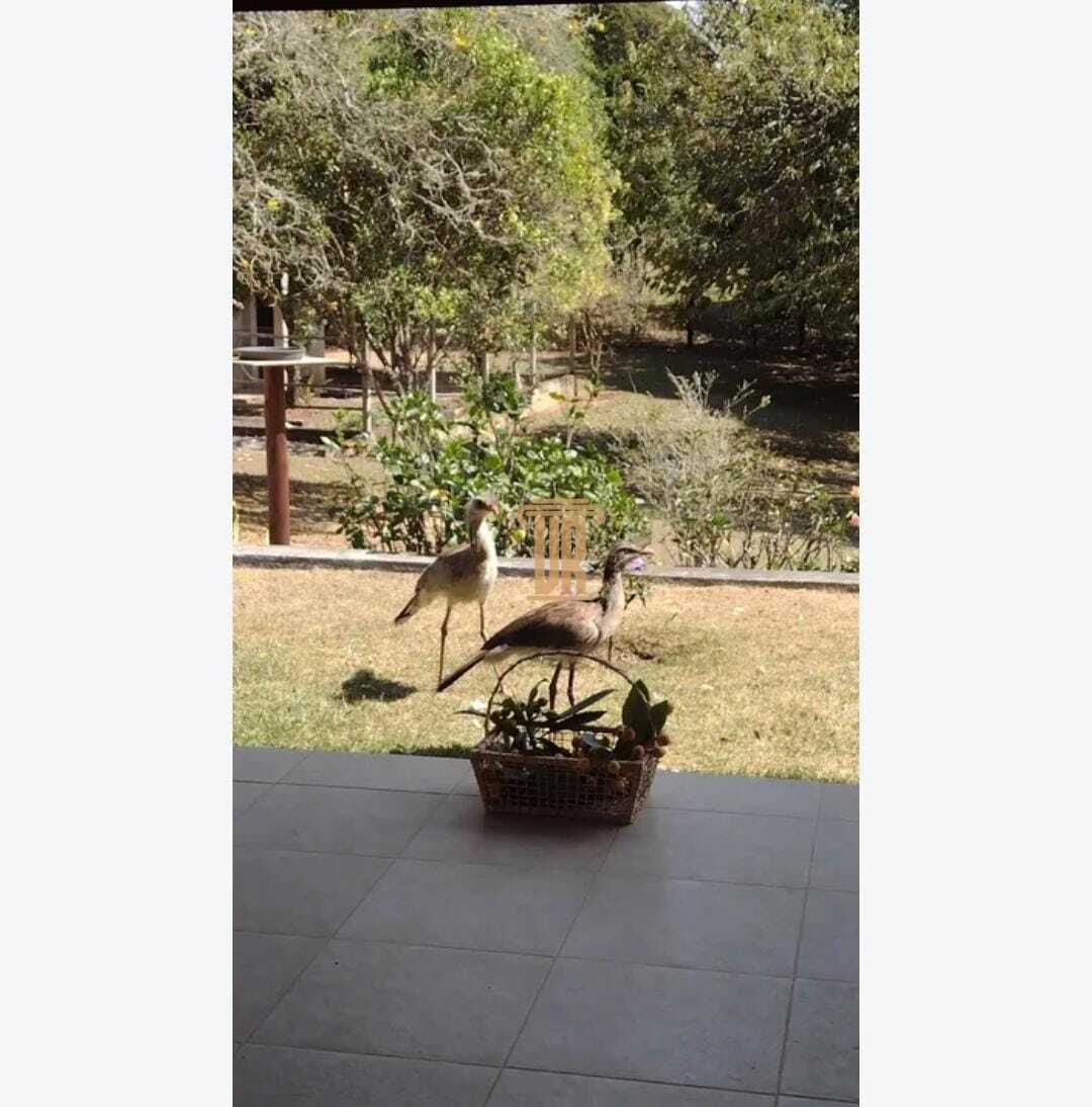 Ch&aacute;cara maravilhosa em Paraibuna - SP com 6.120m&sup2;  Paraibuna - 