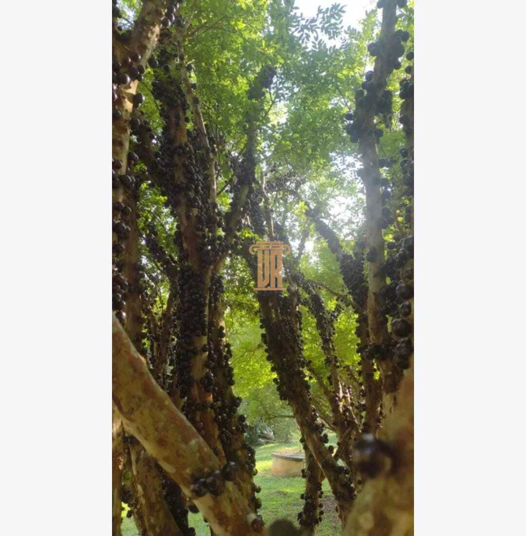 Ch&aacute;cara maravilhosa em Paraibuna - SP com 6.120m&sup2;  Paraibuna - 